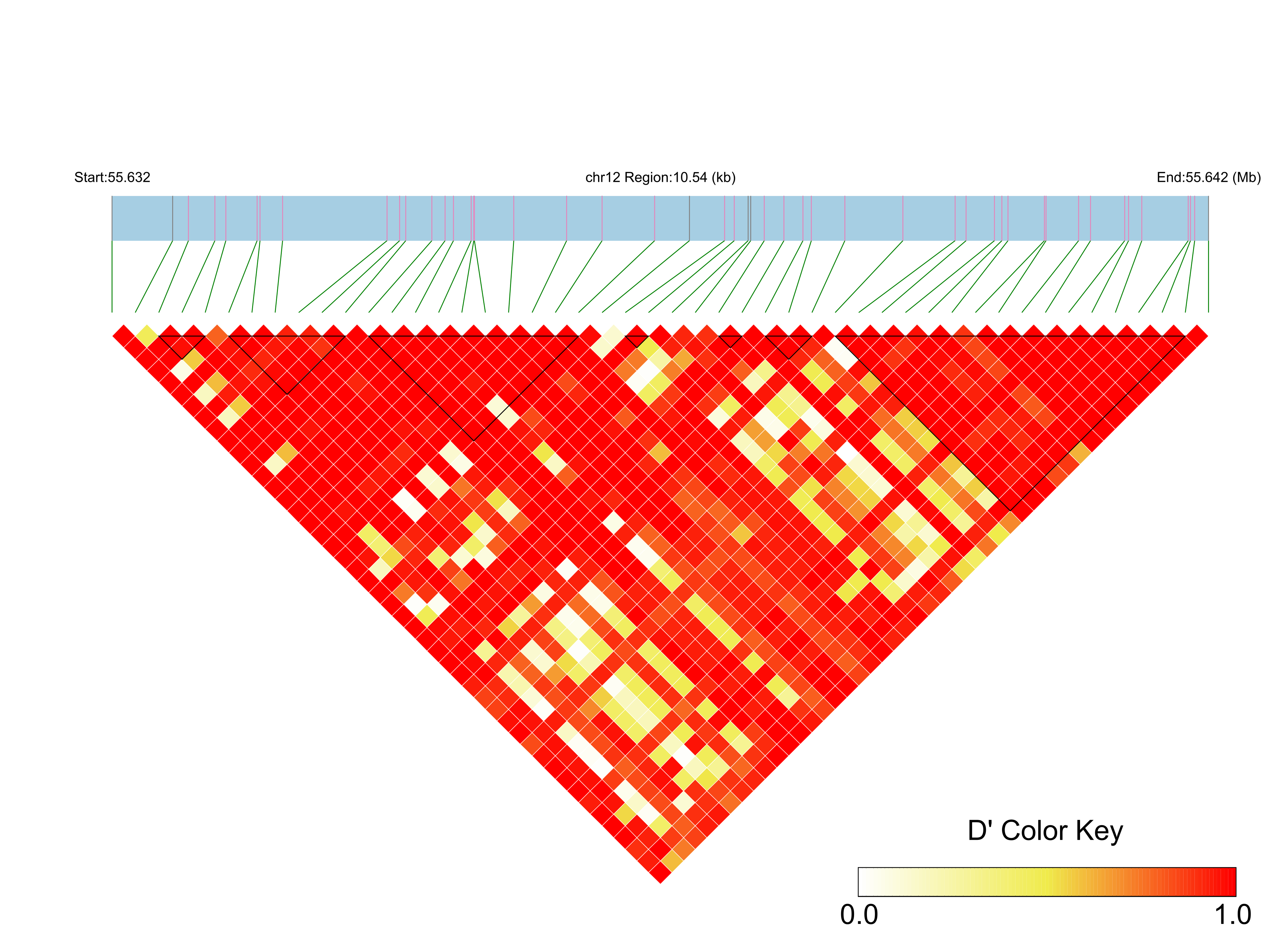 LD