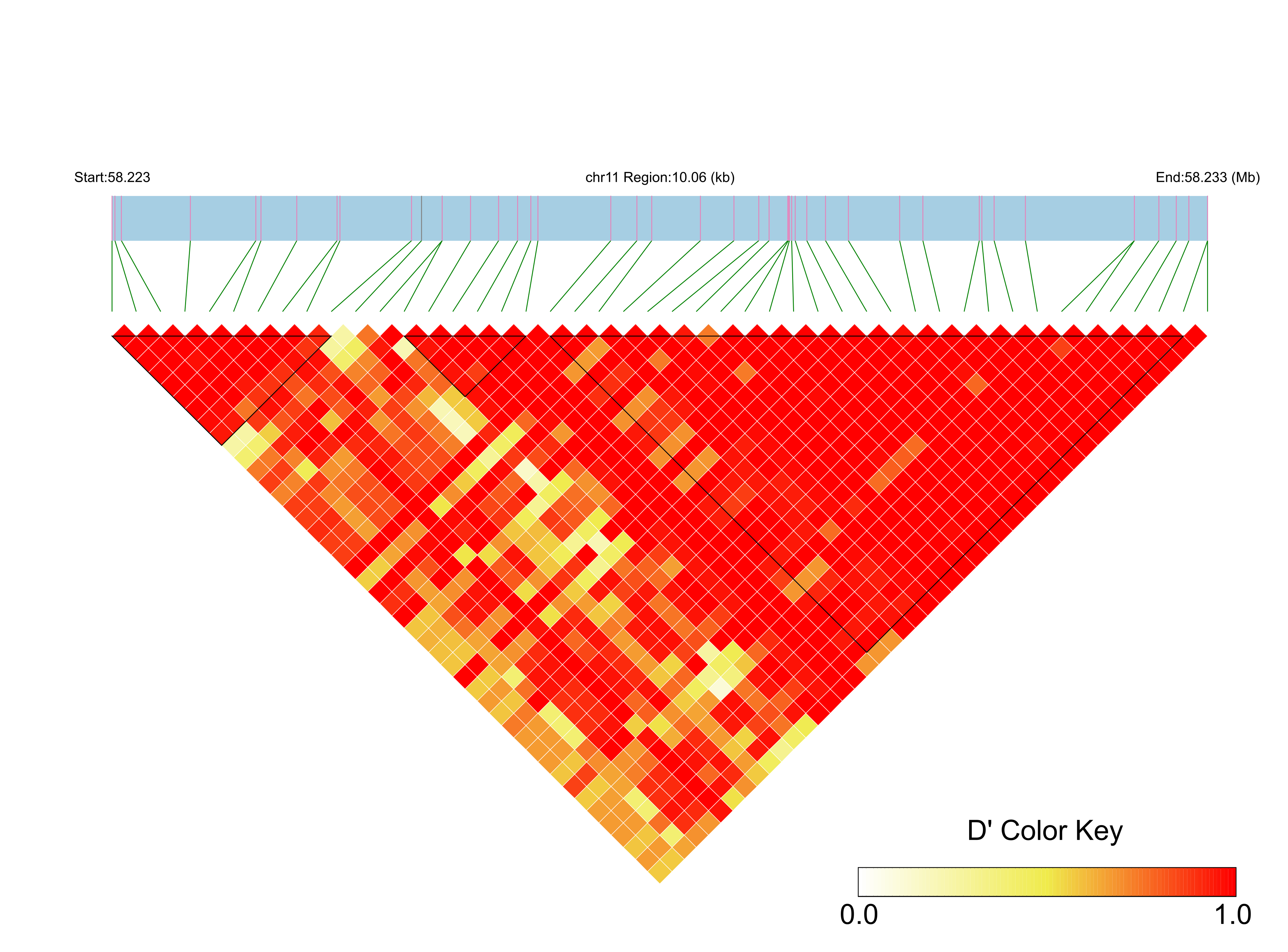 LD