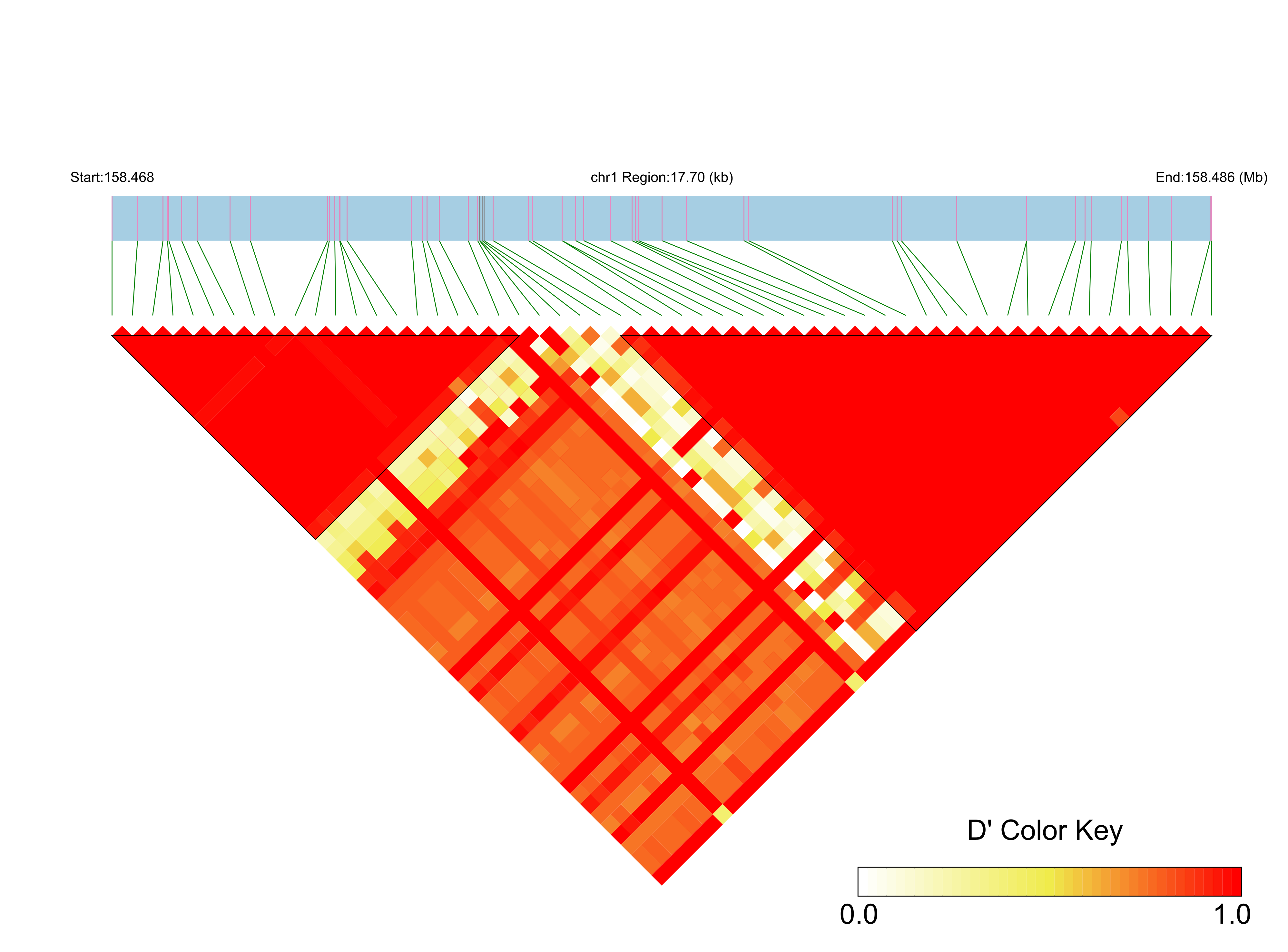 LD