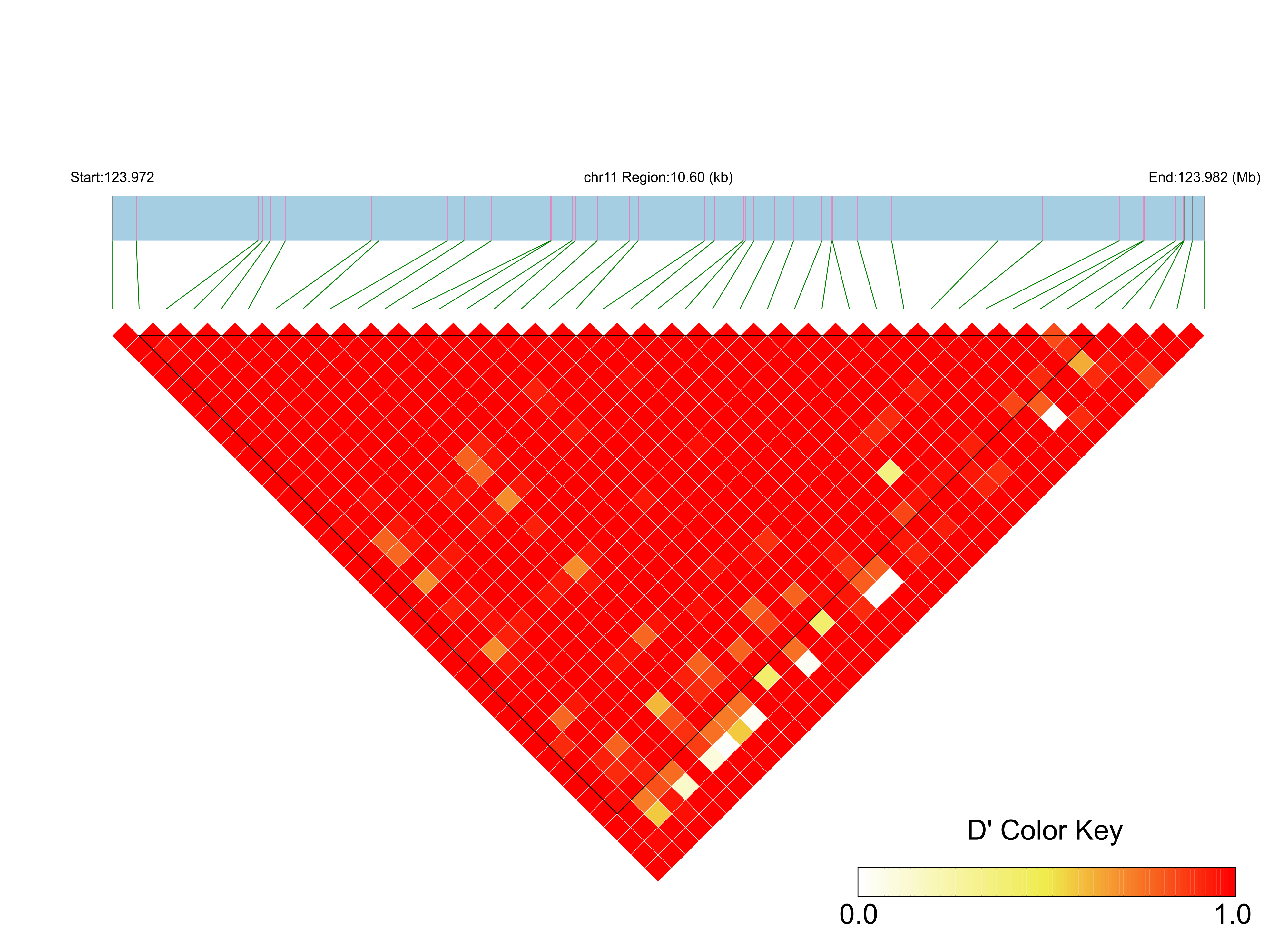 LD
