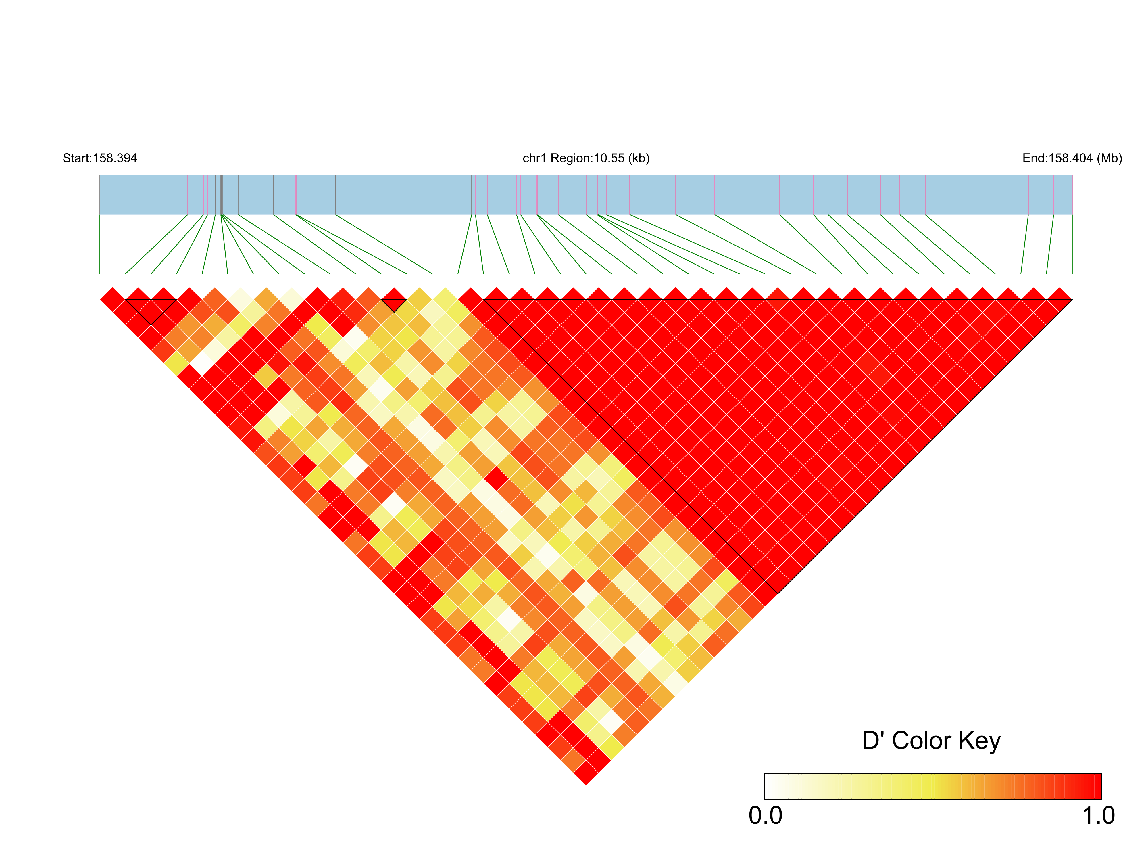 LD