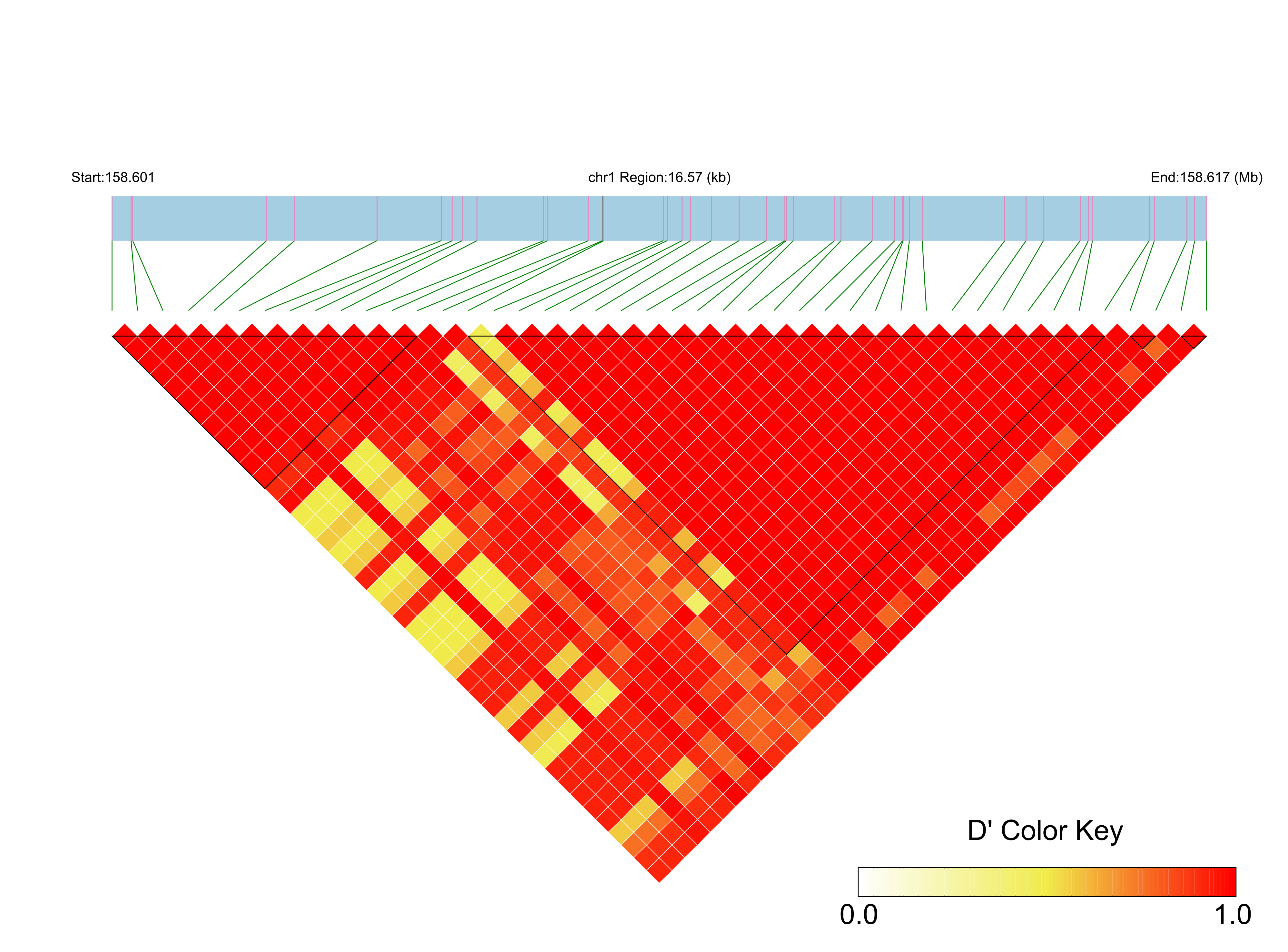 LD