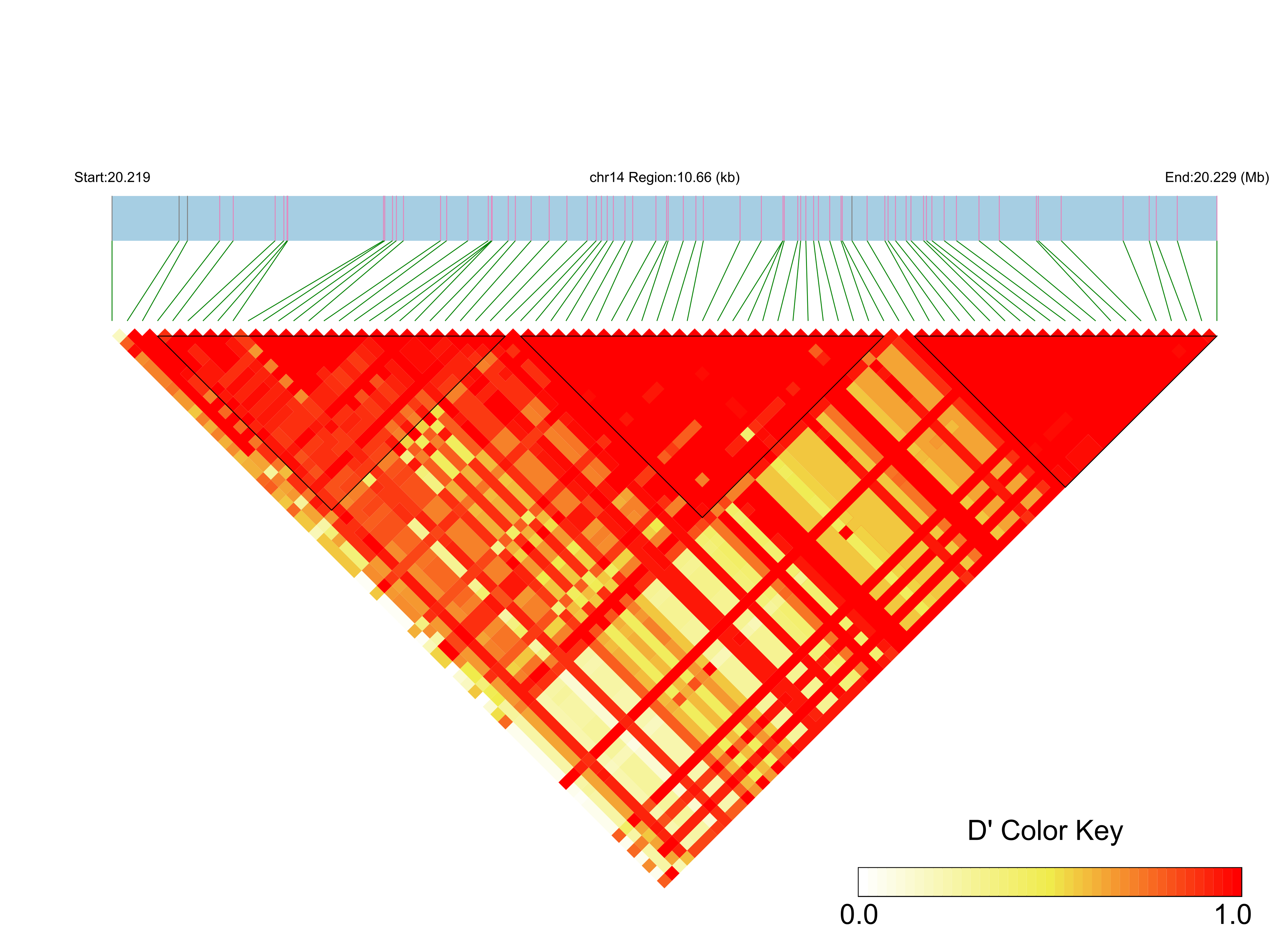 LD