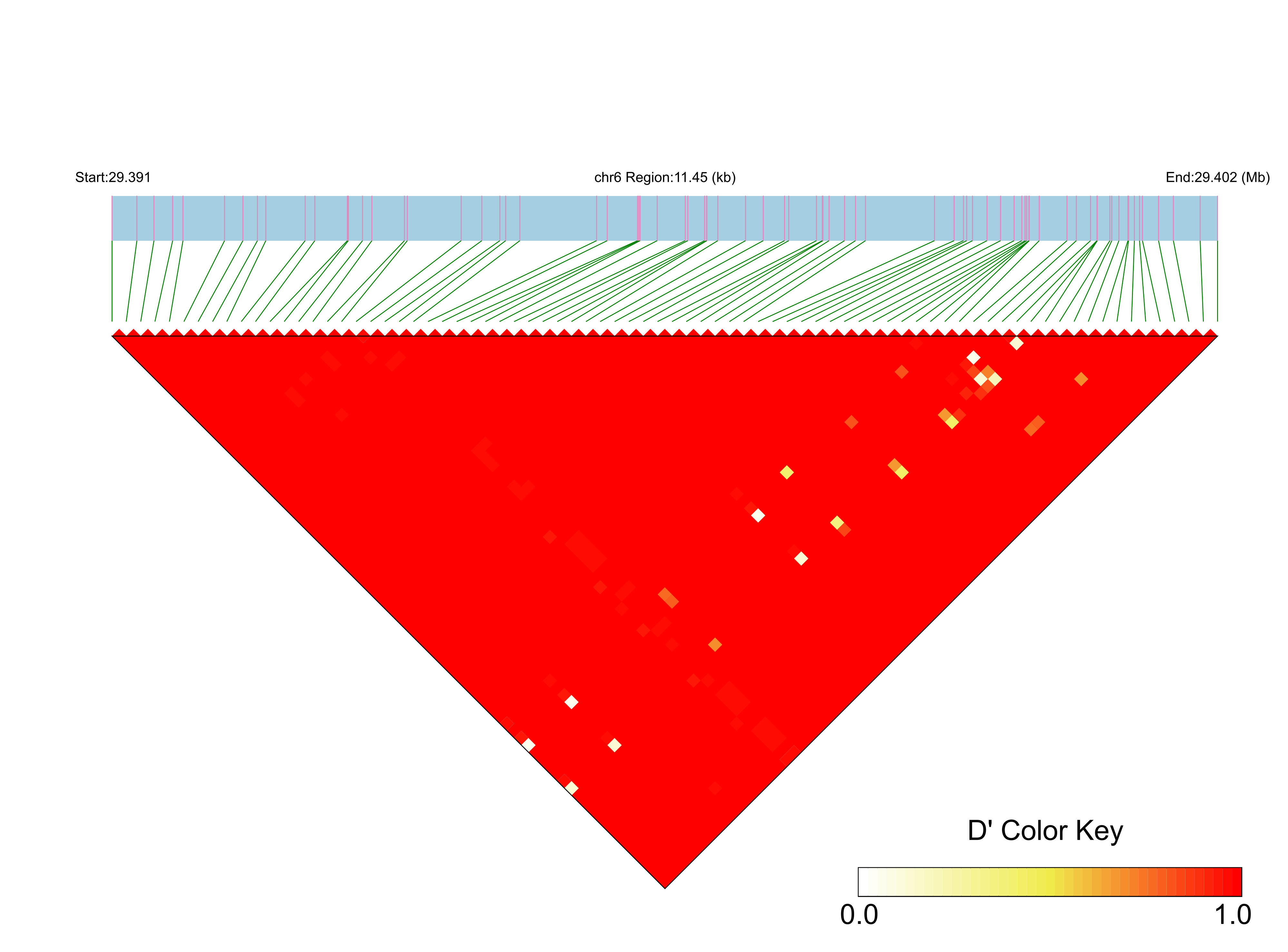 LD