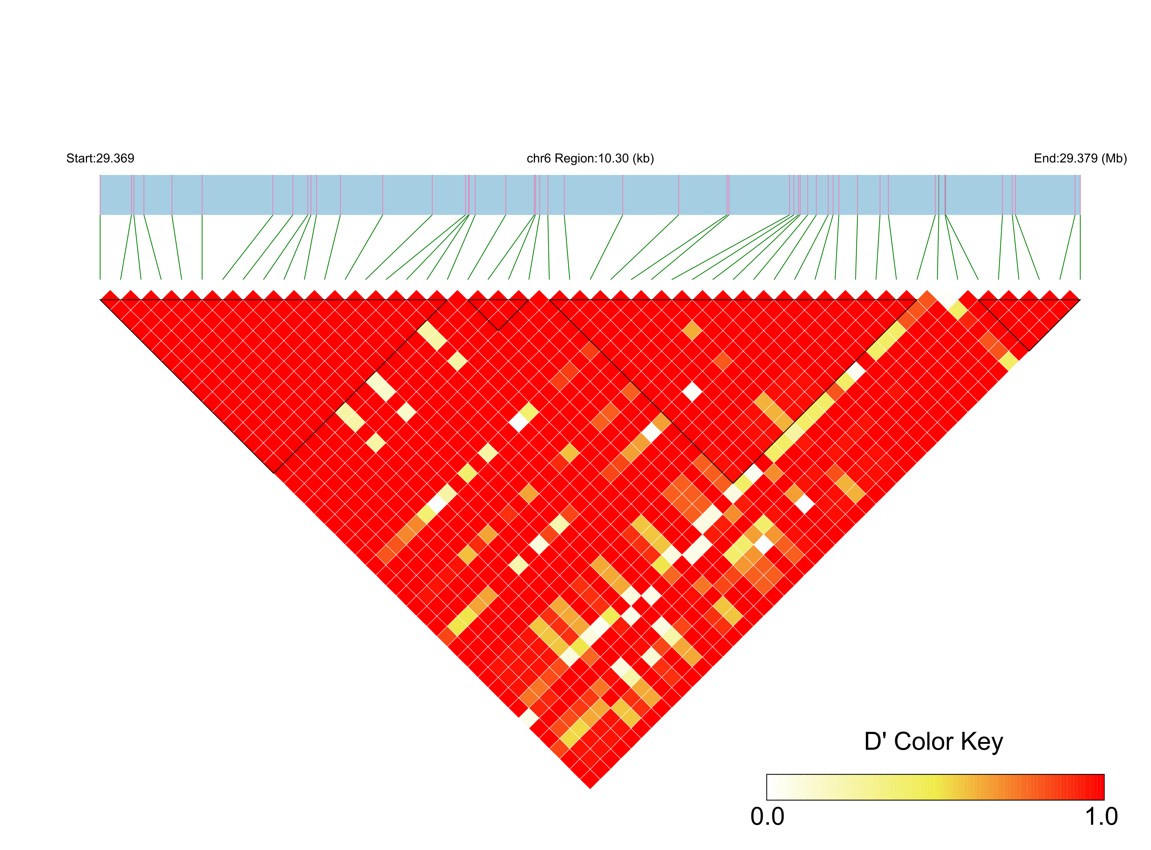 LD