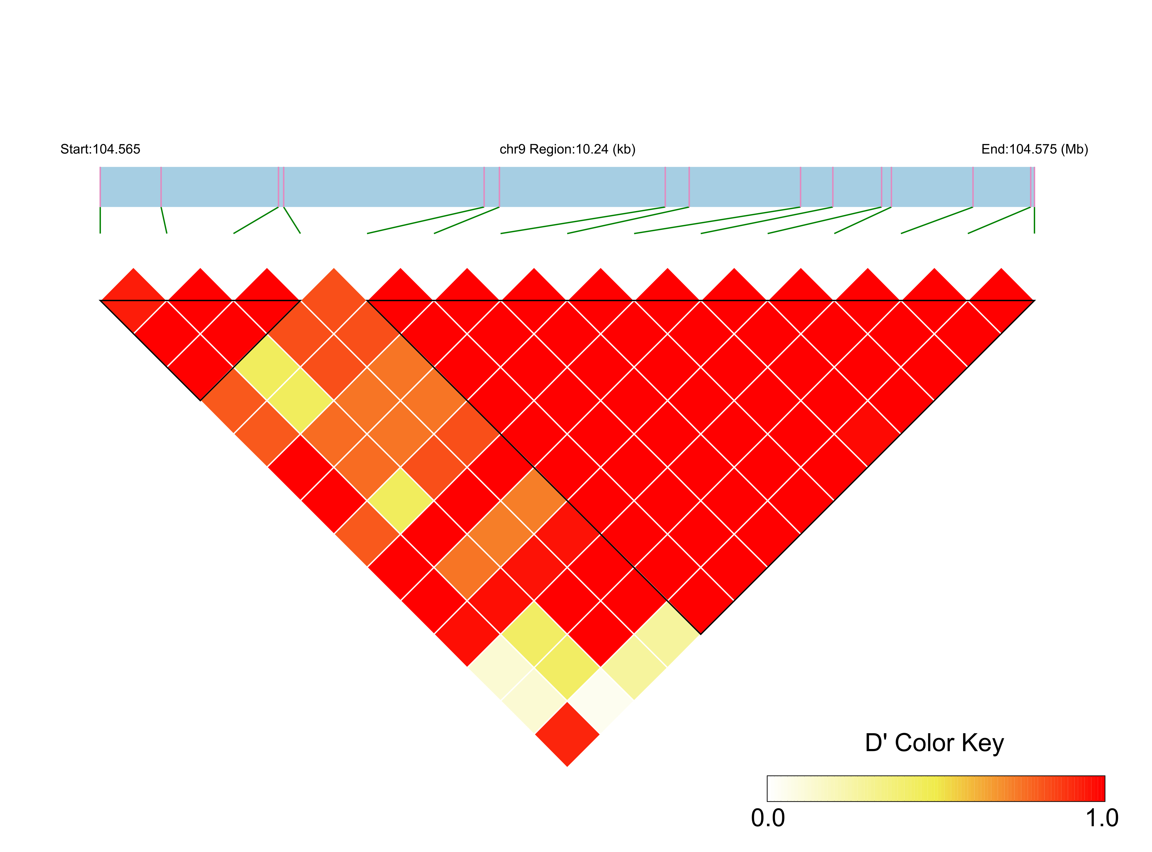 LD