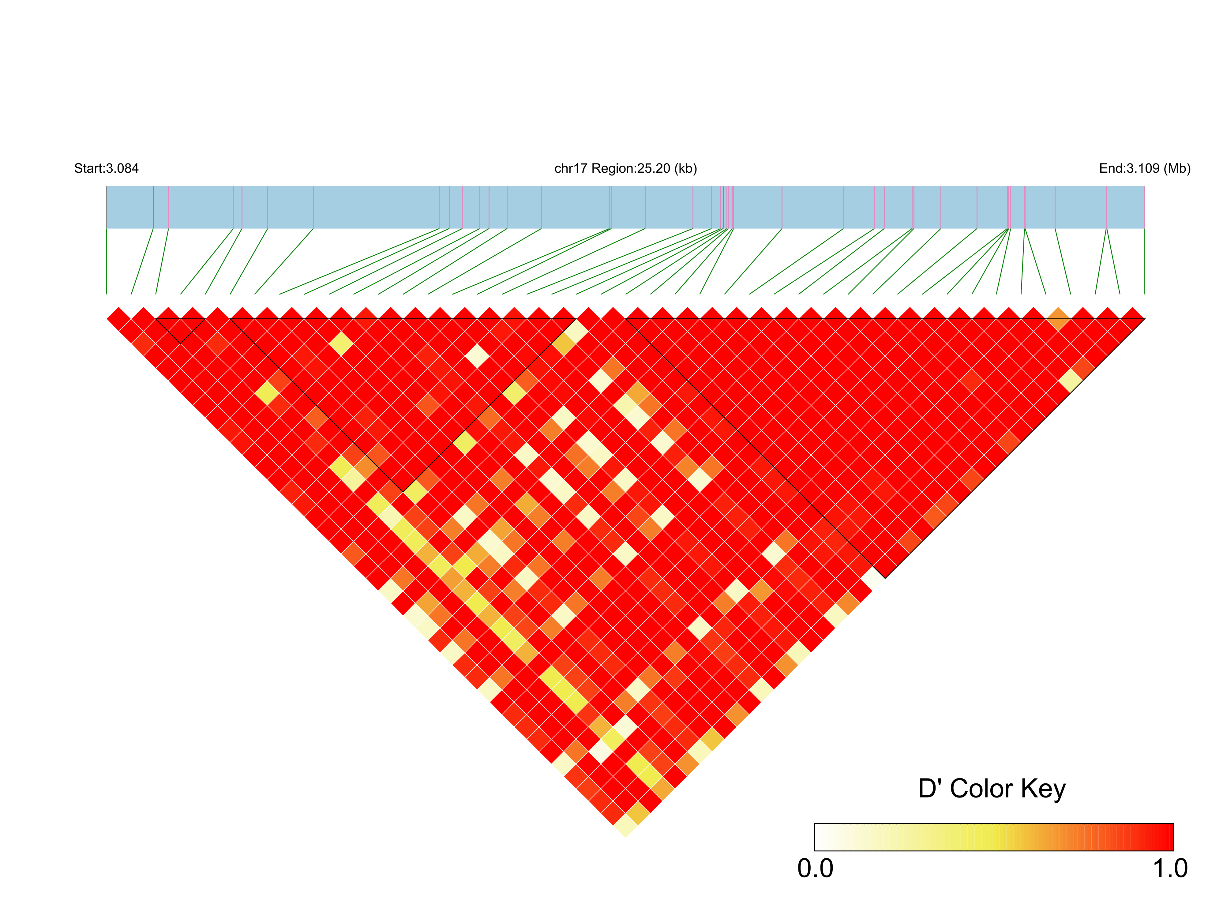LD