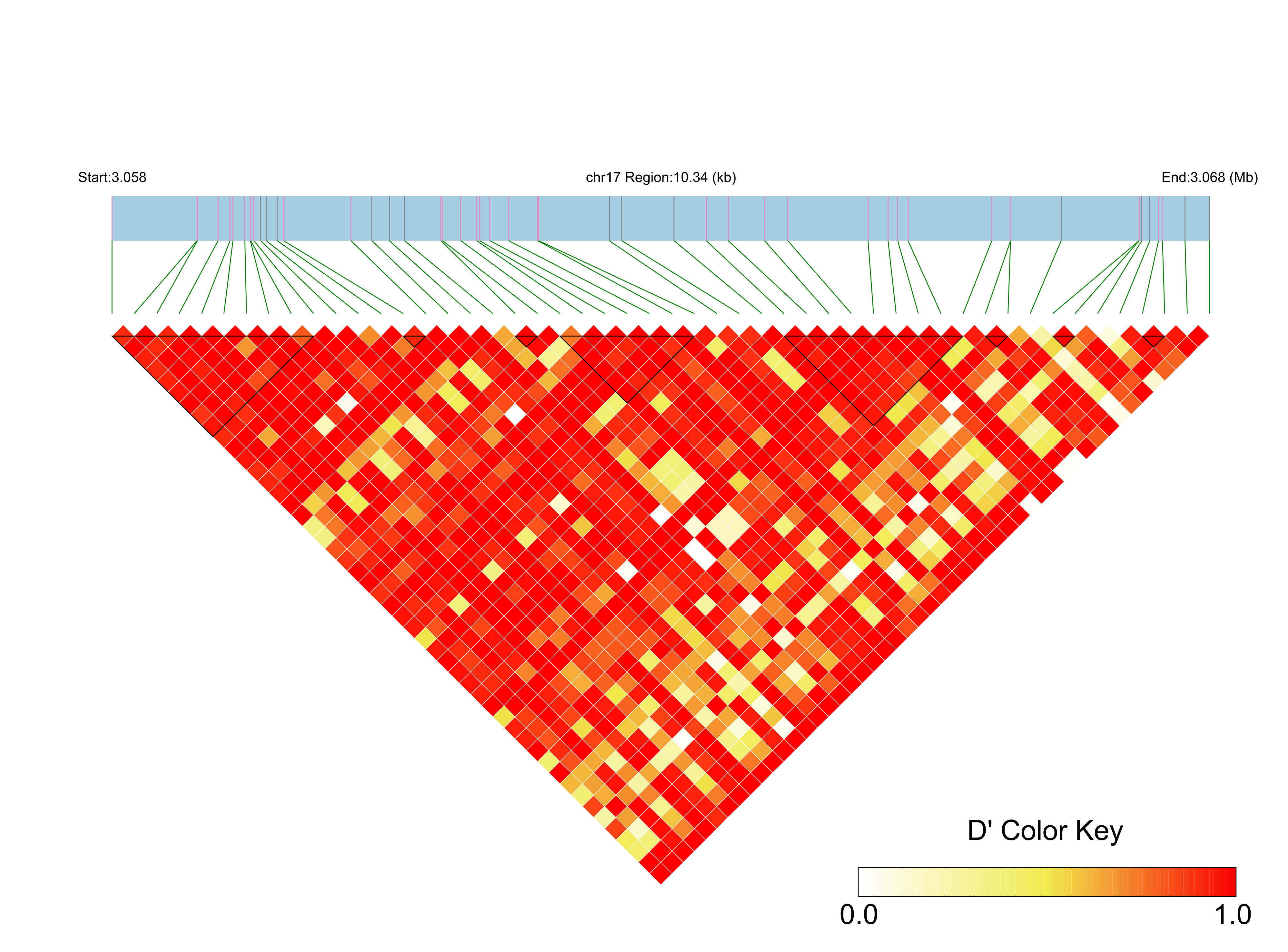 LD