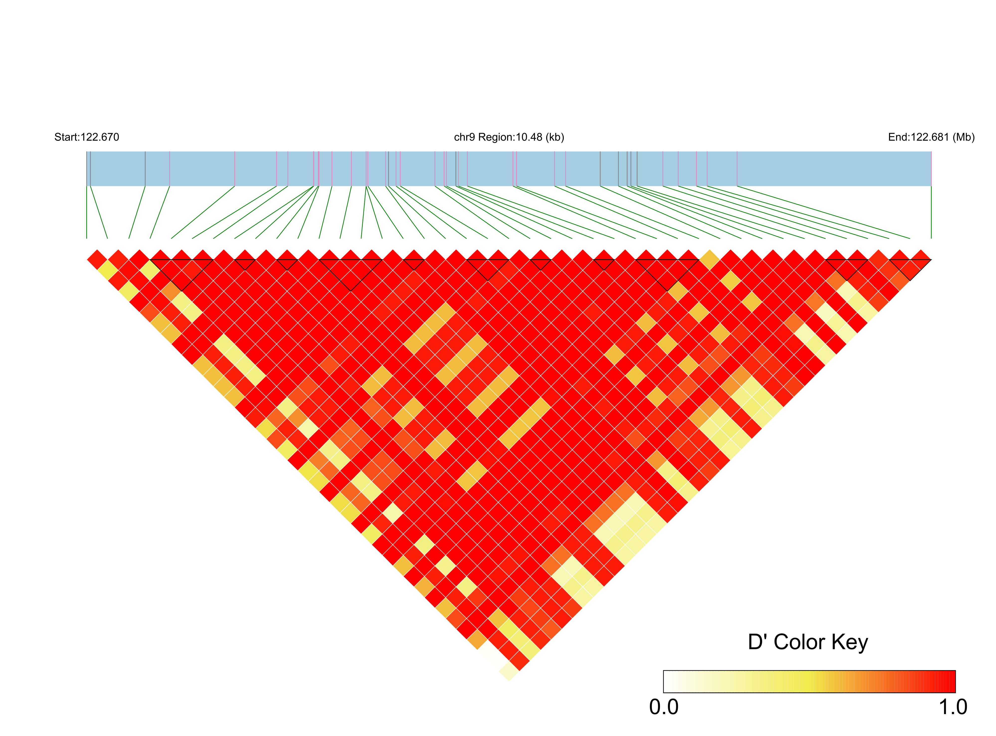 LD
