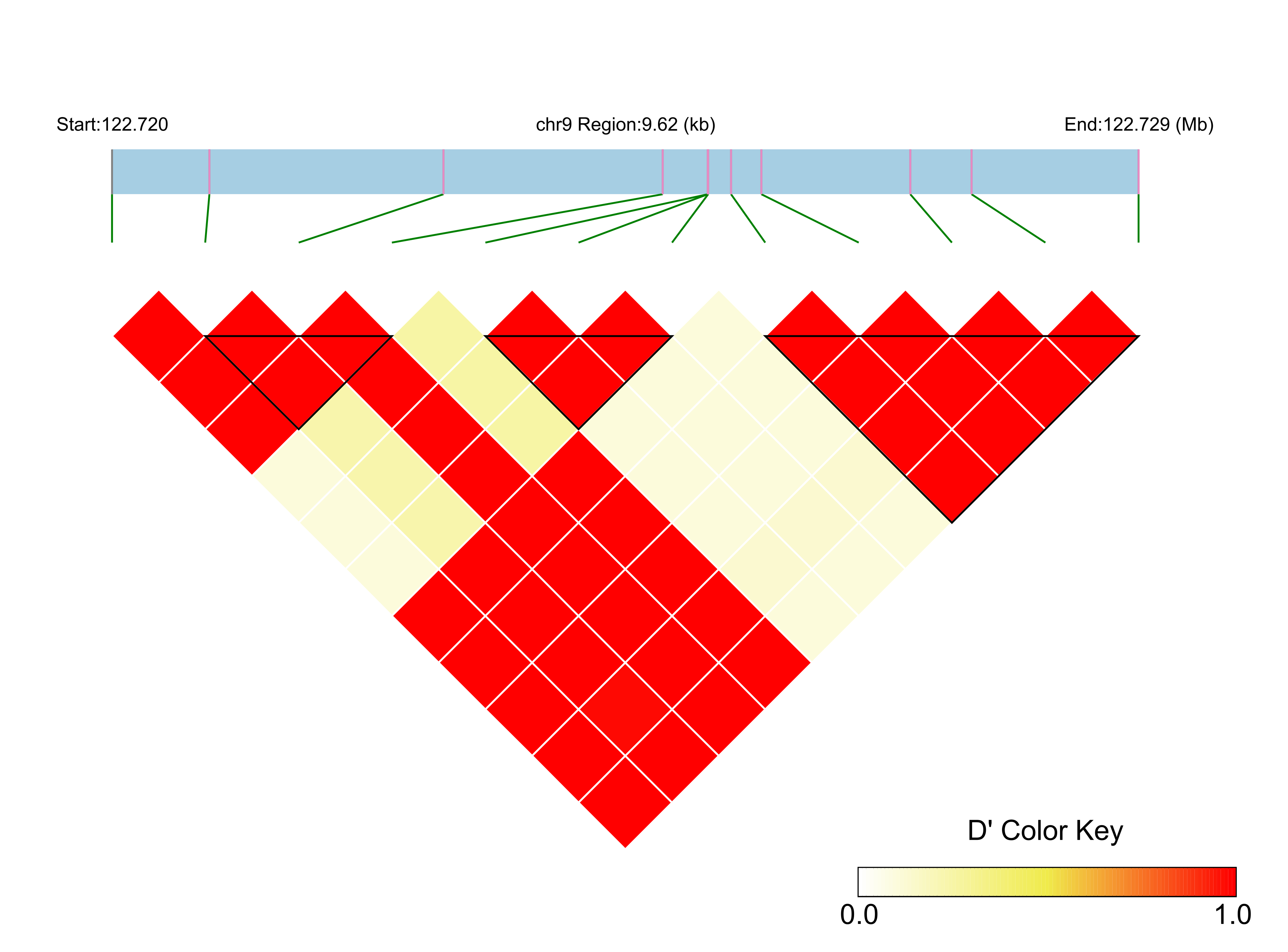LD