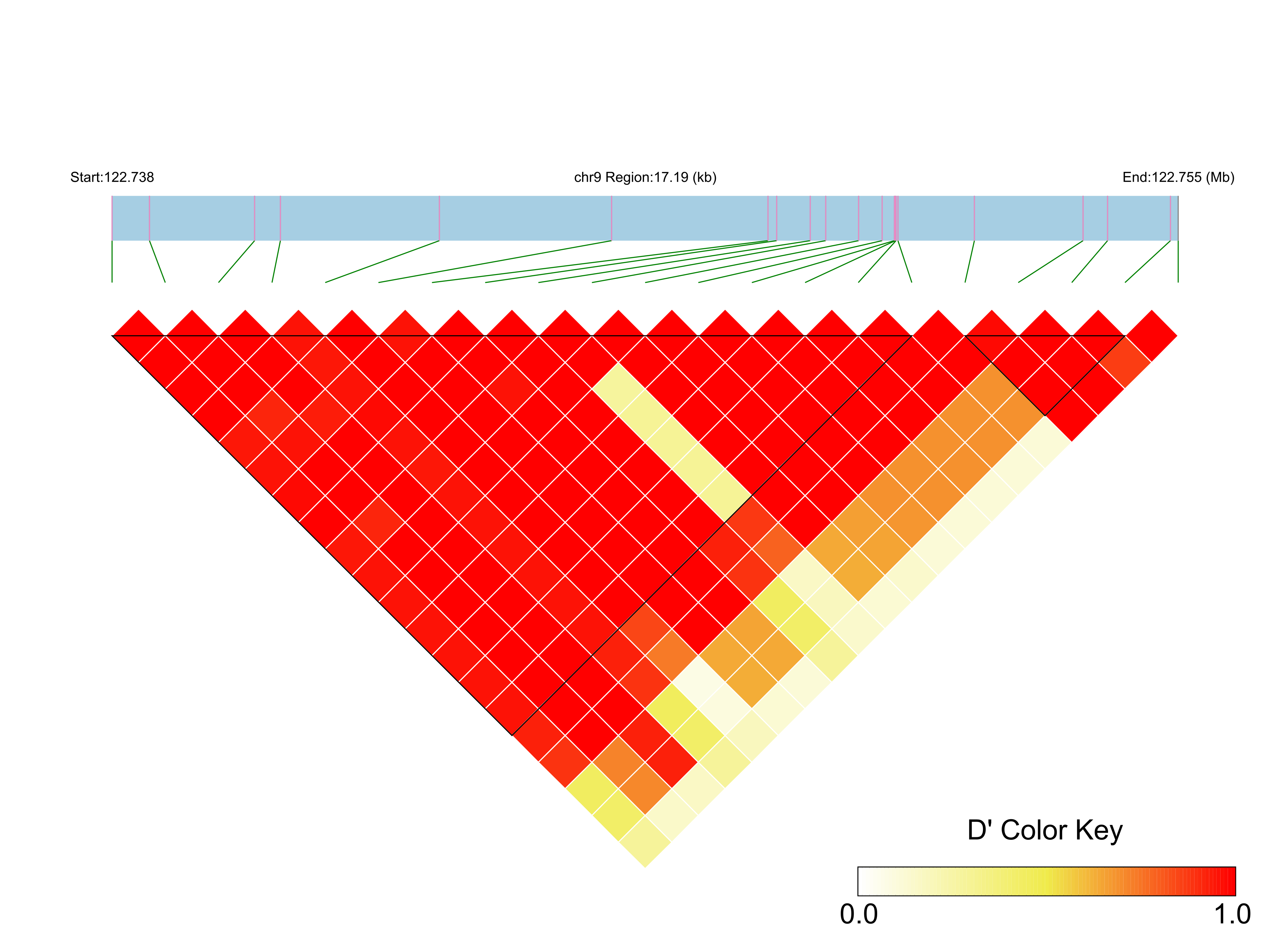LD