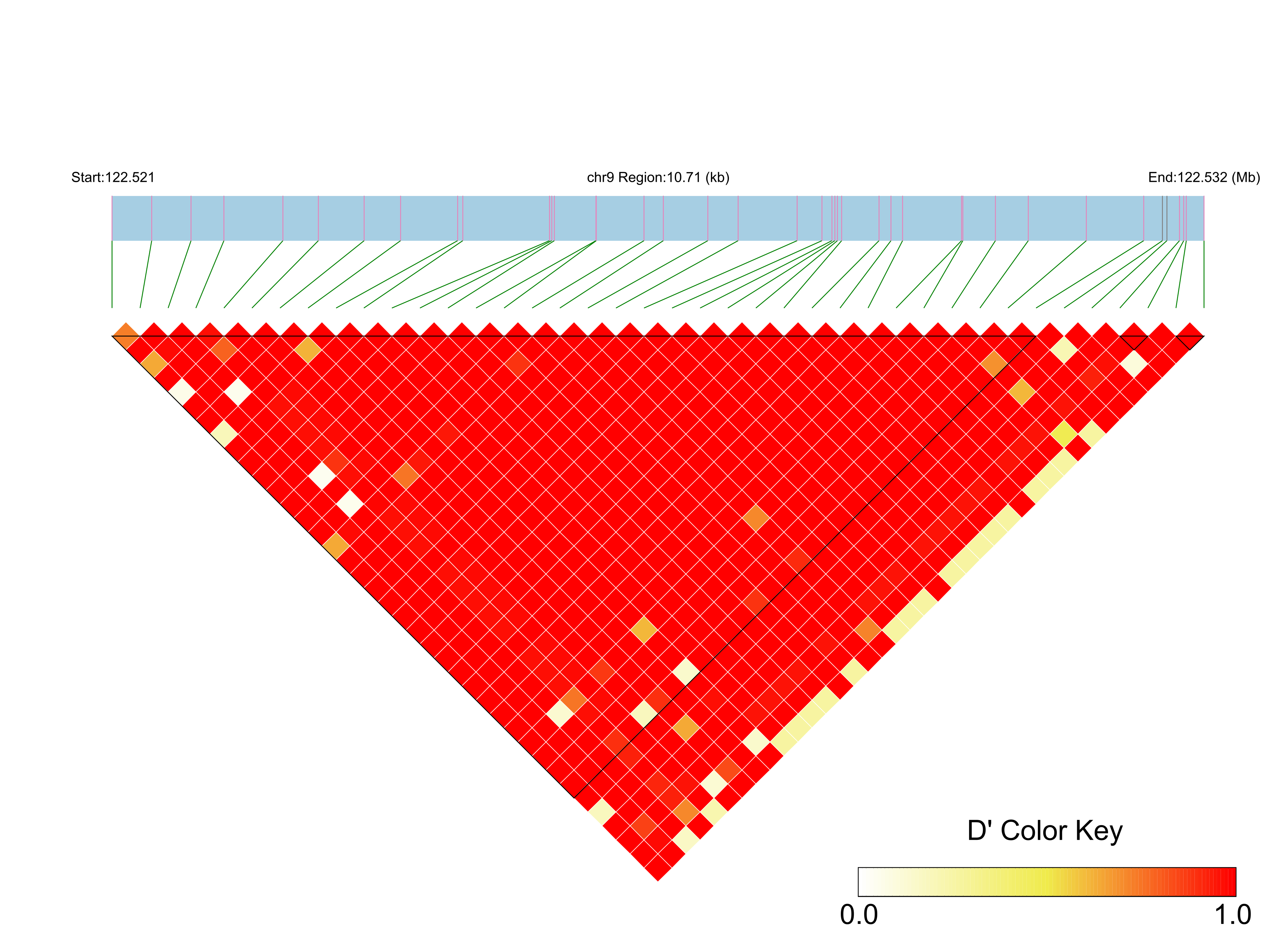 LD