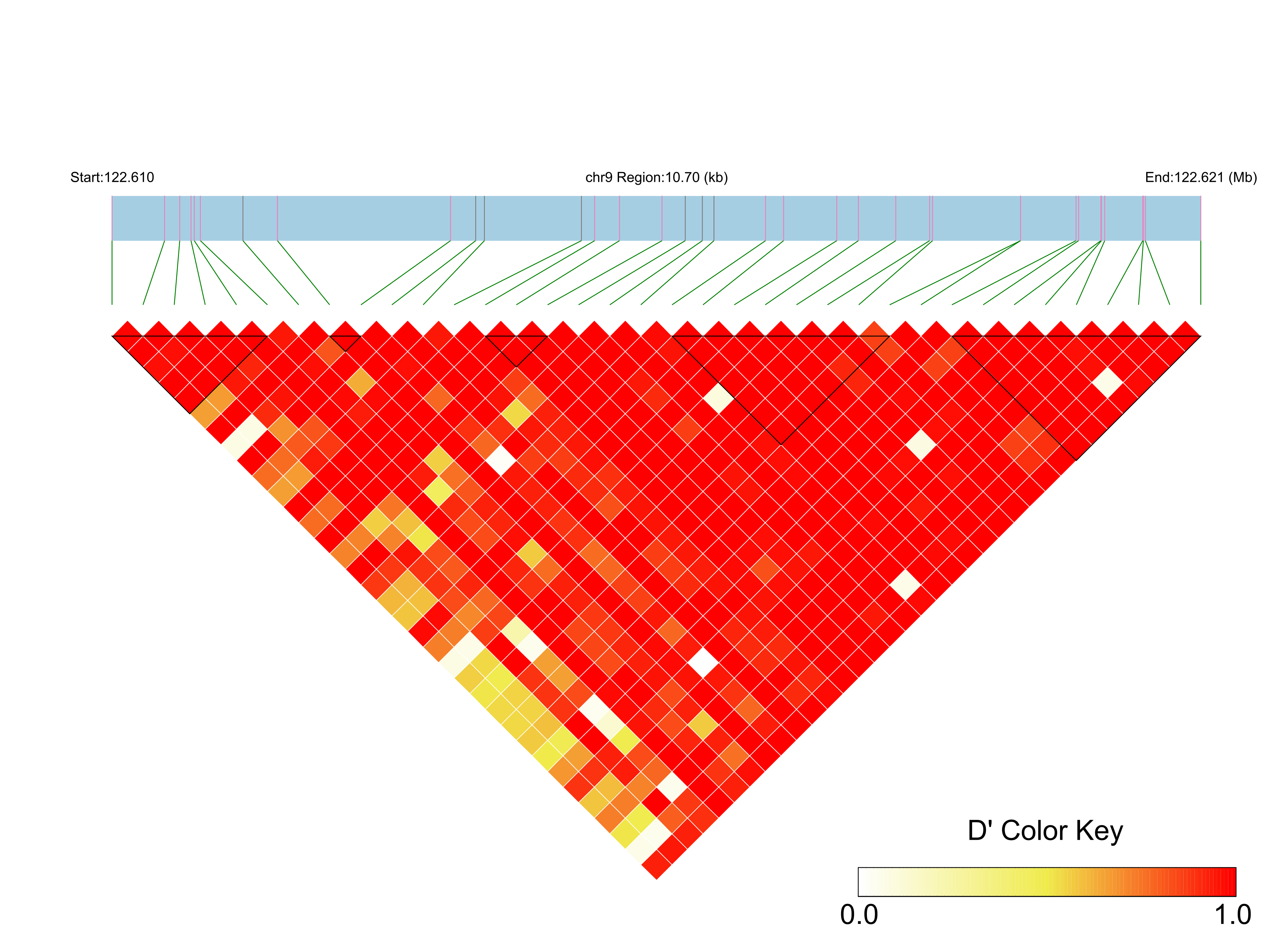 LD