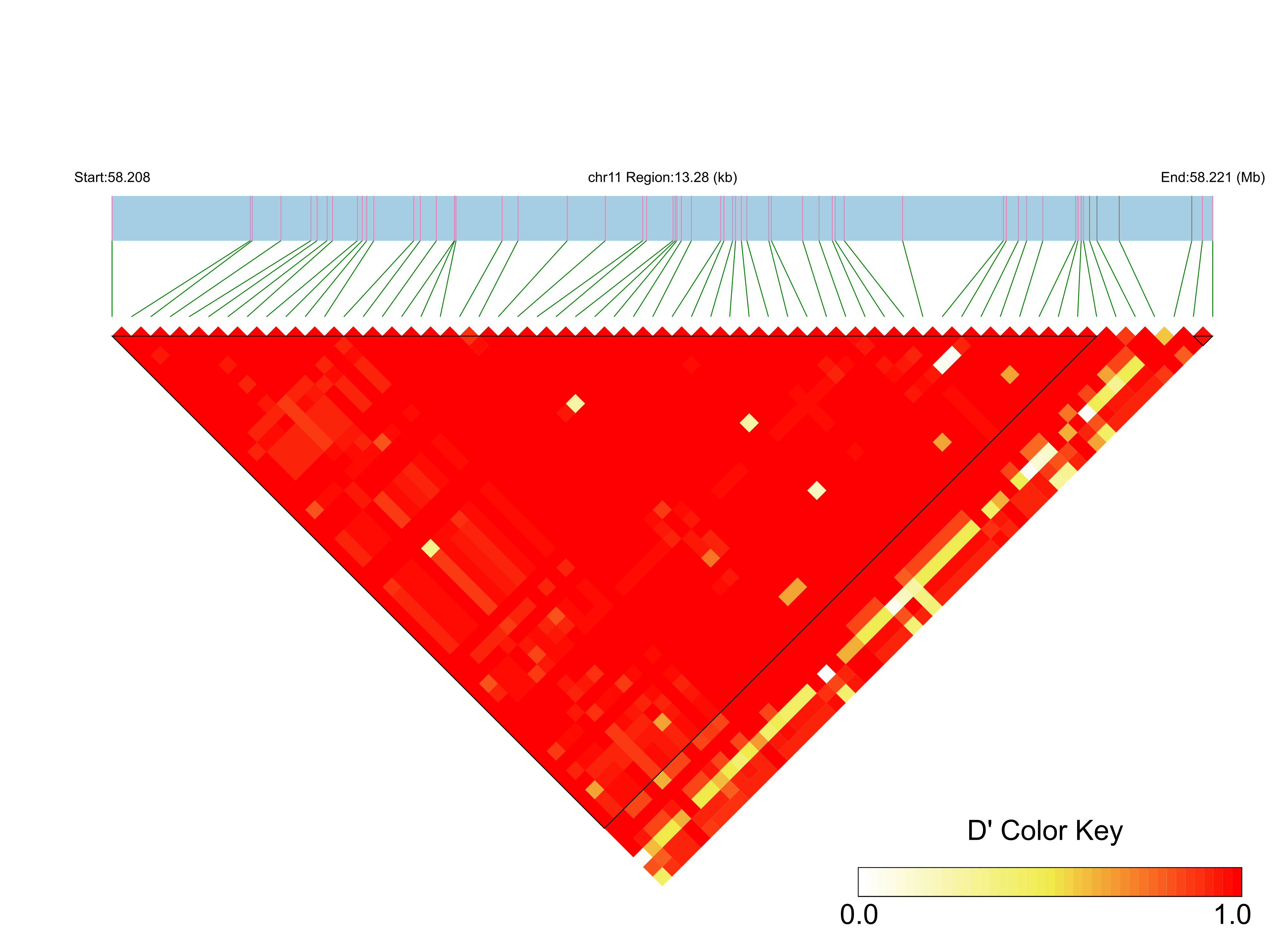 LD