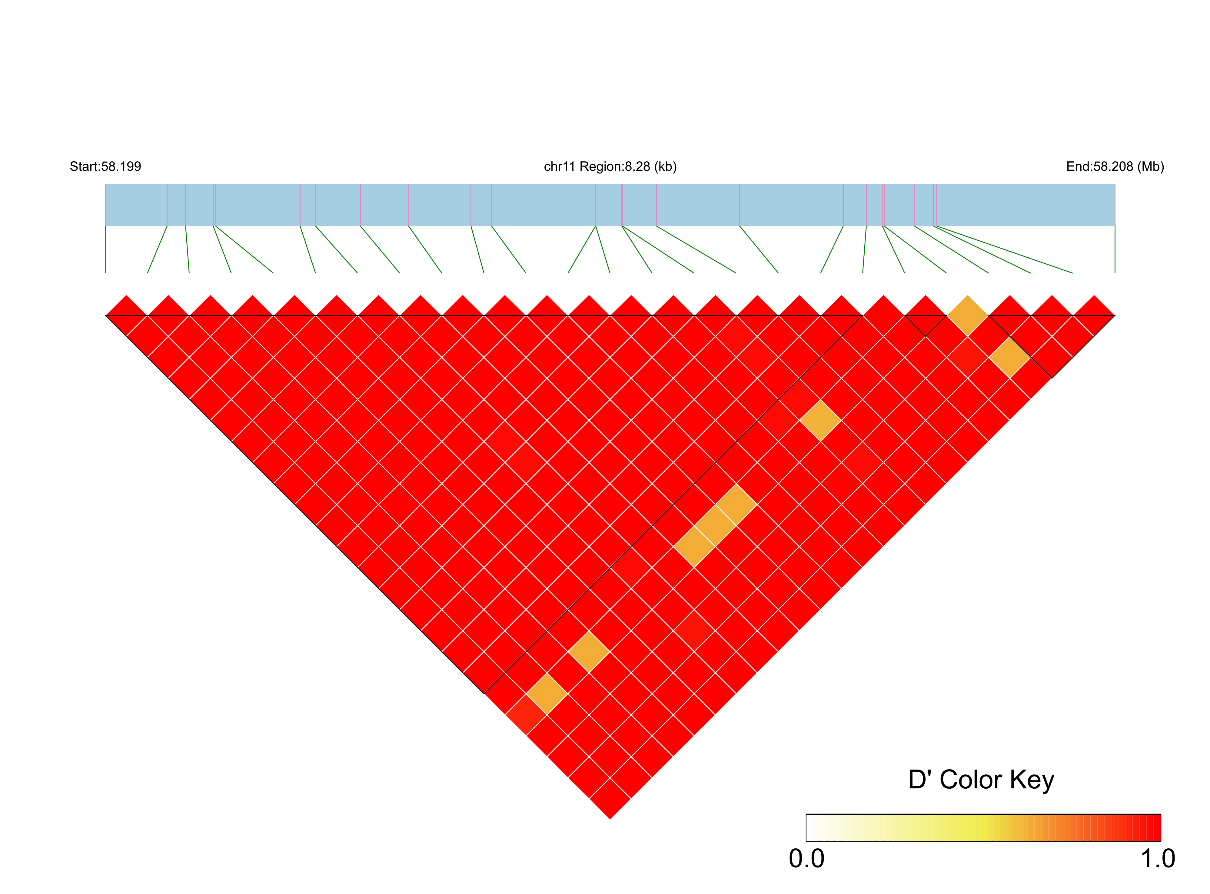 LD