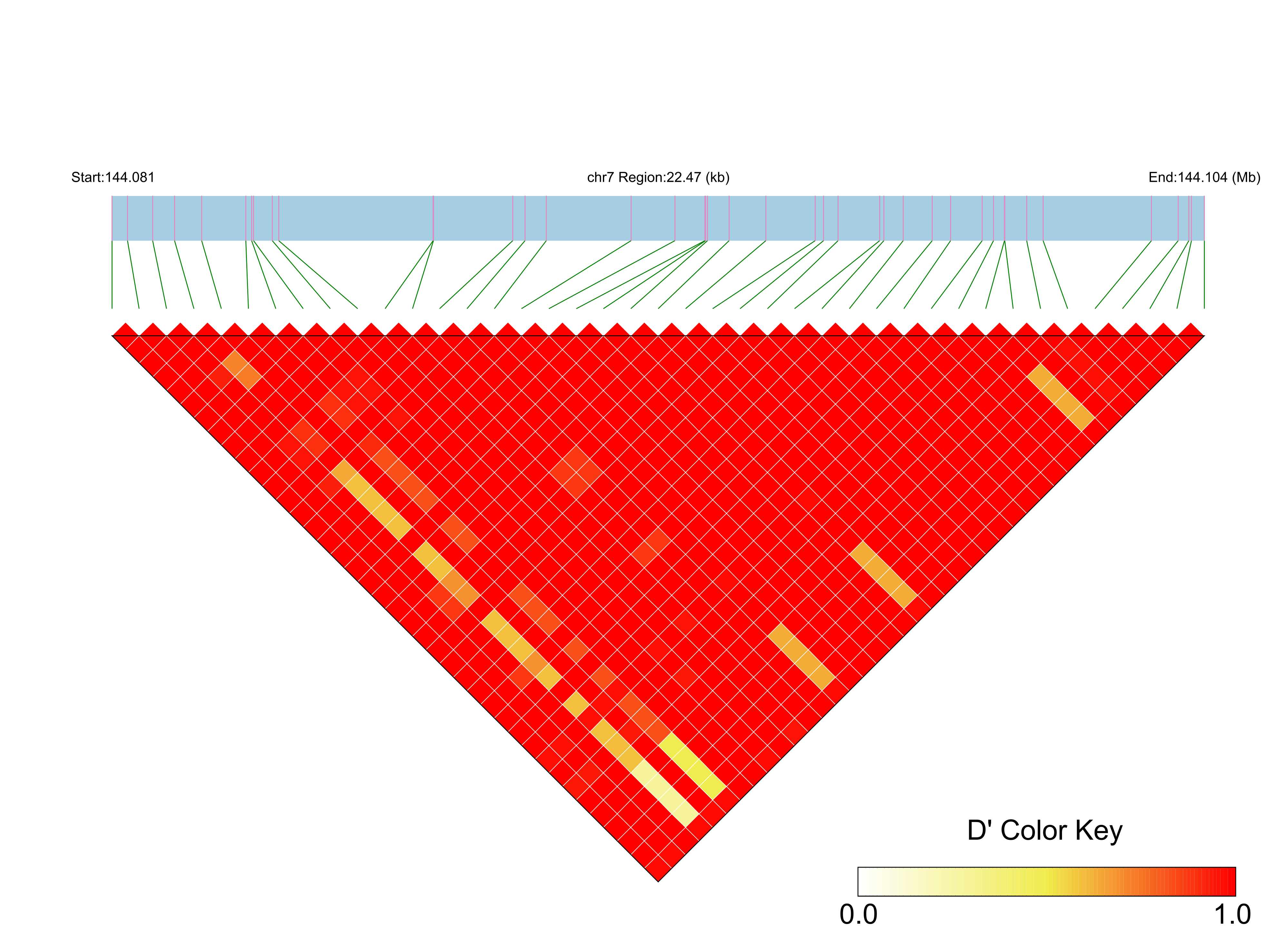 LD