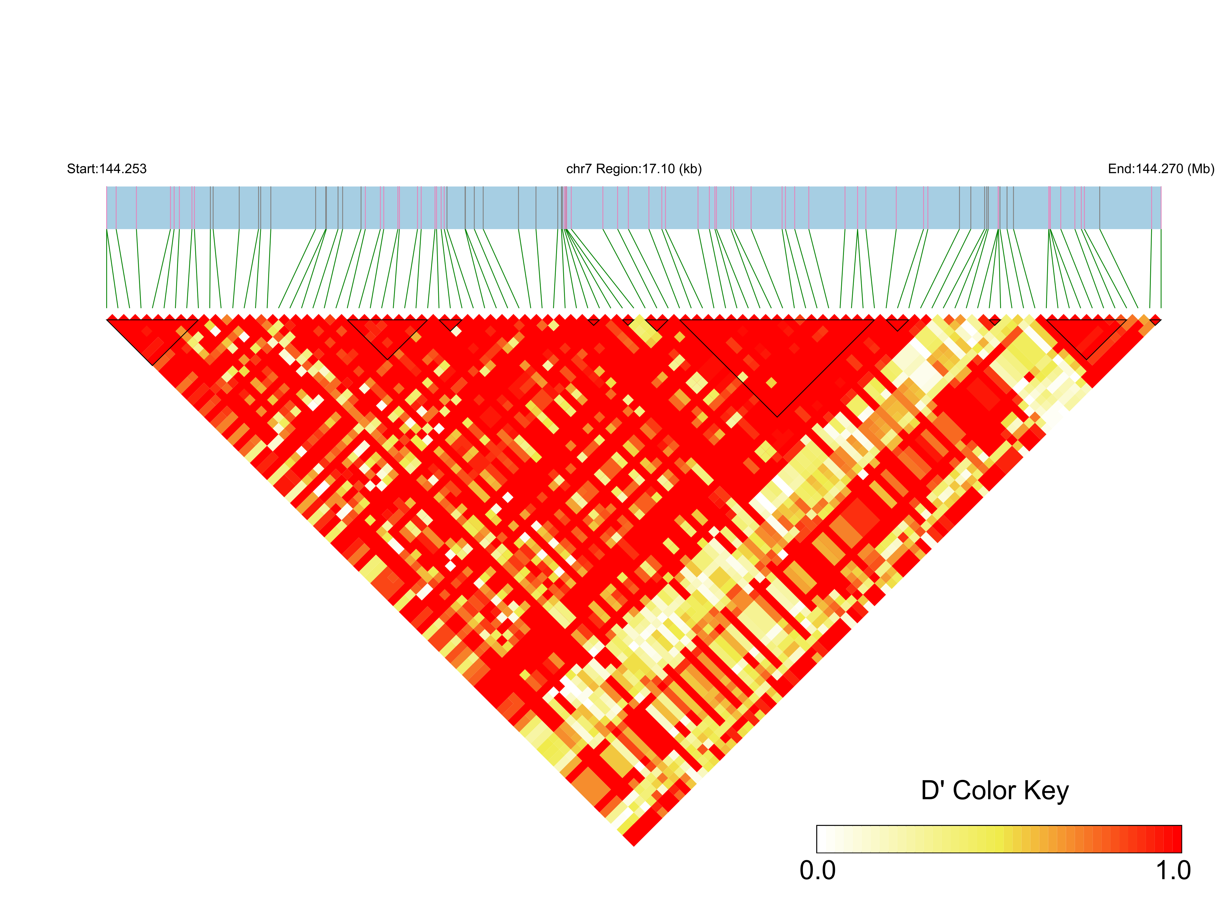 LD