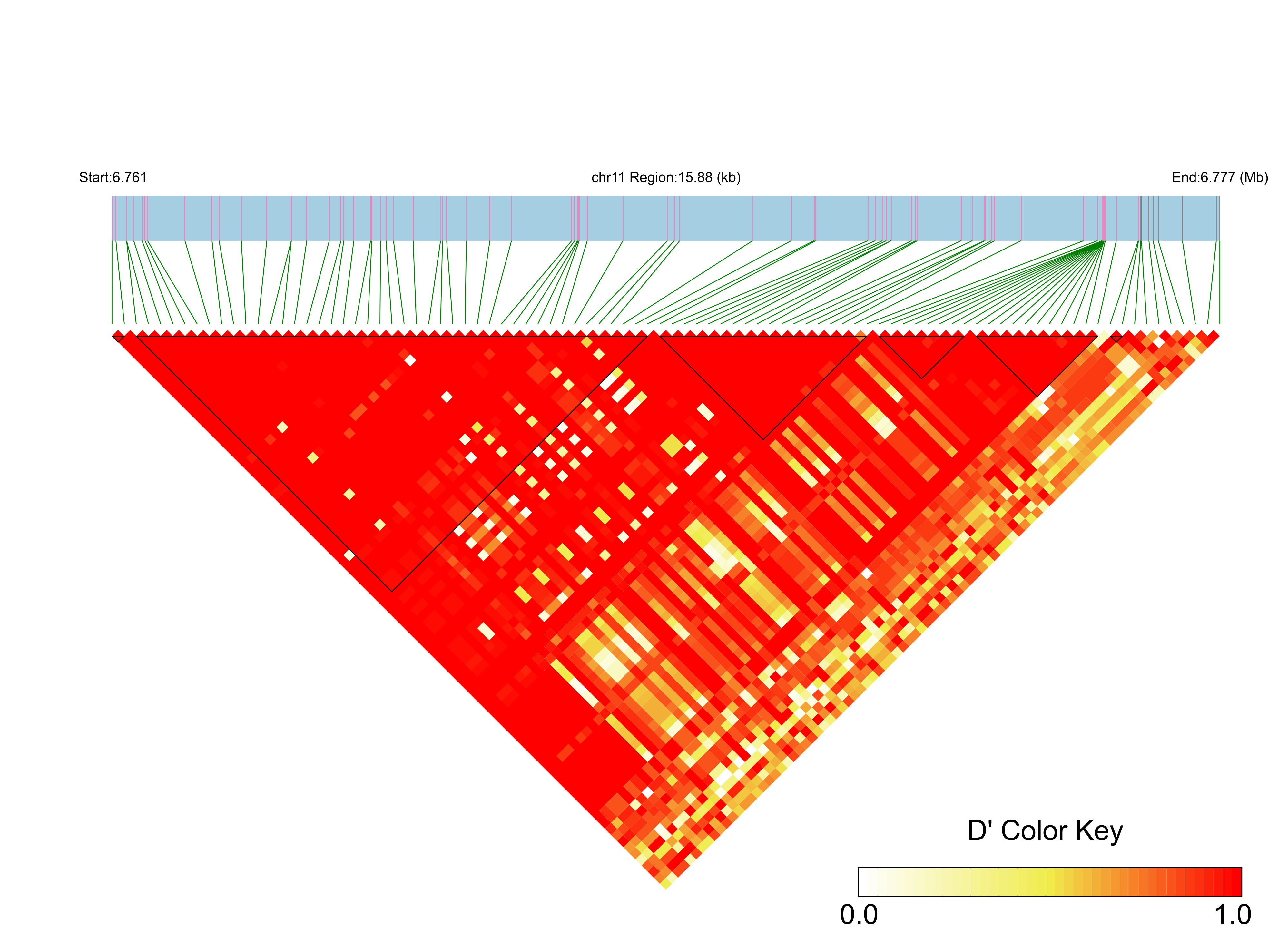 LD