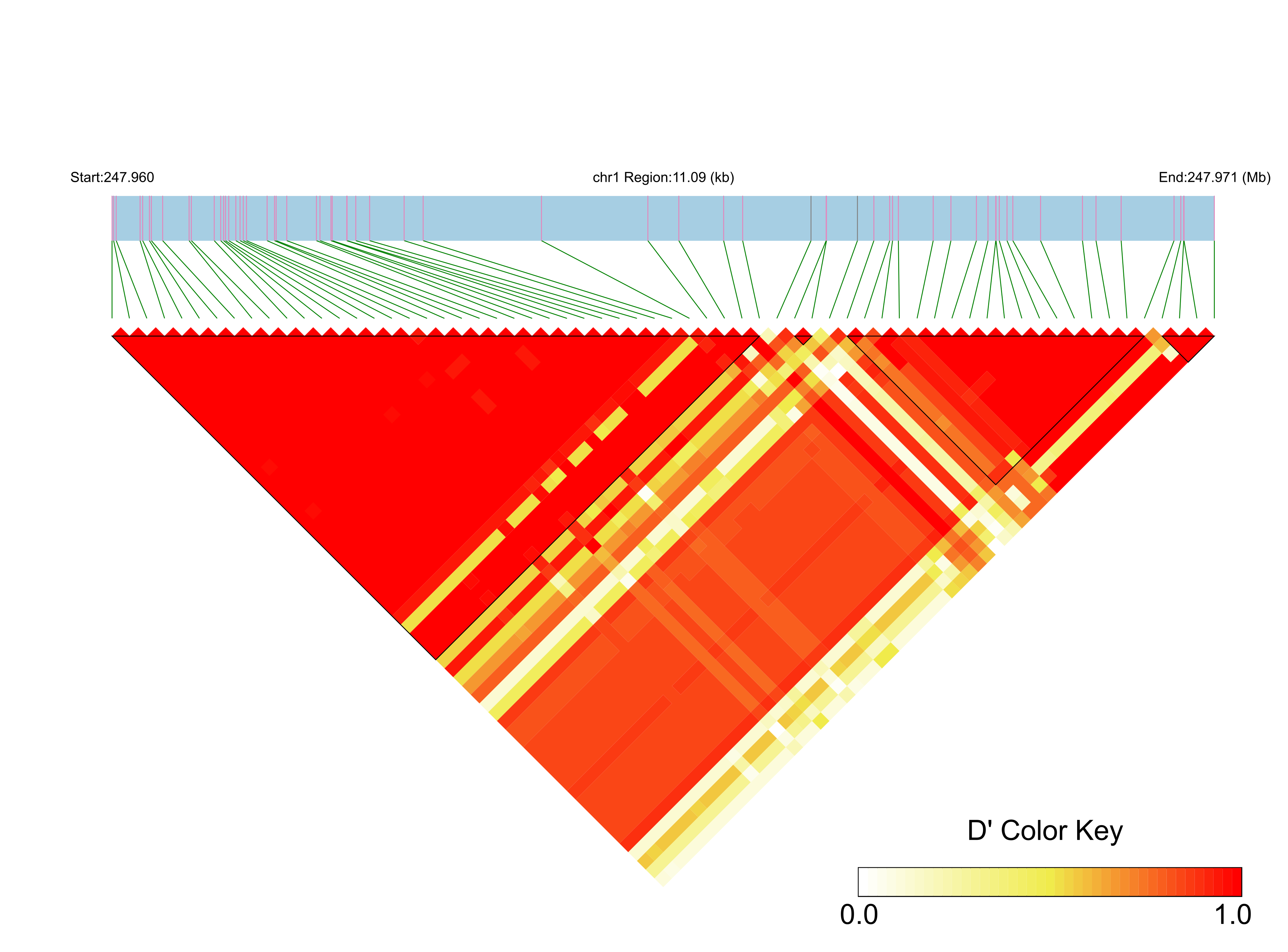 LD