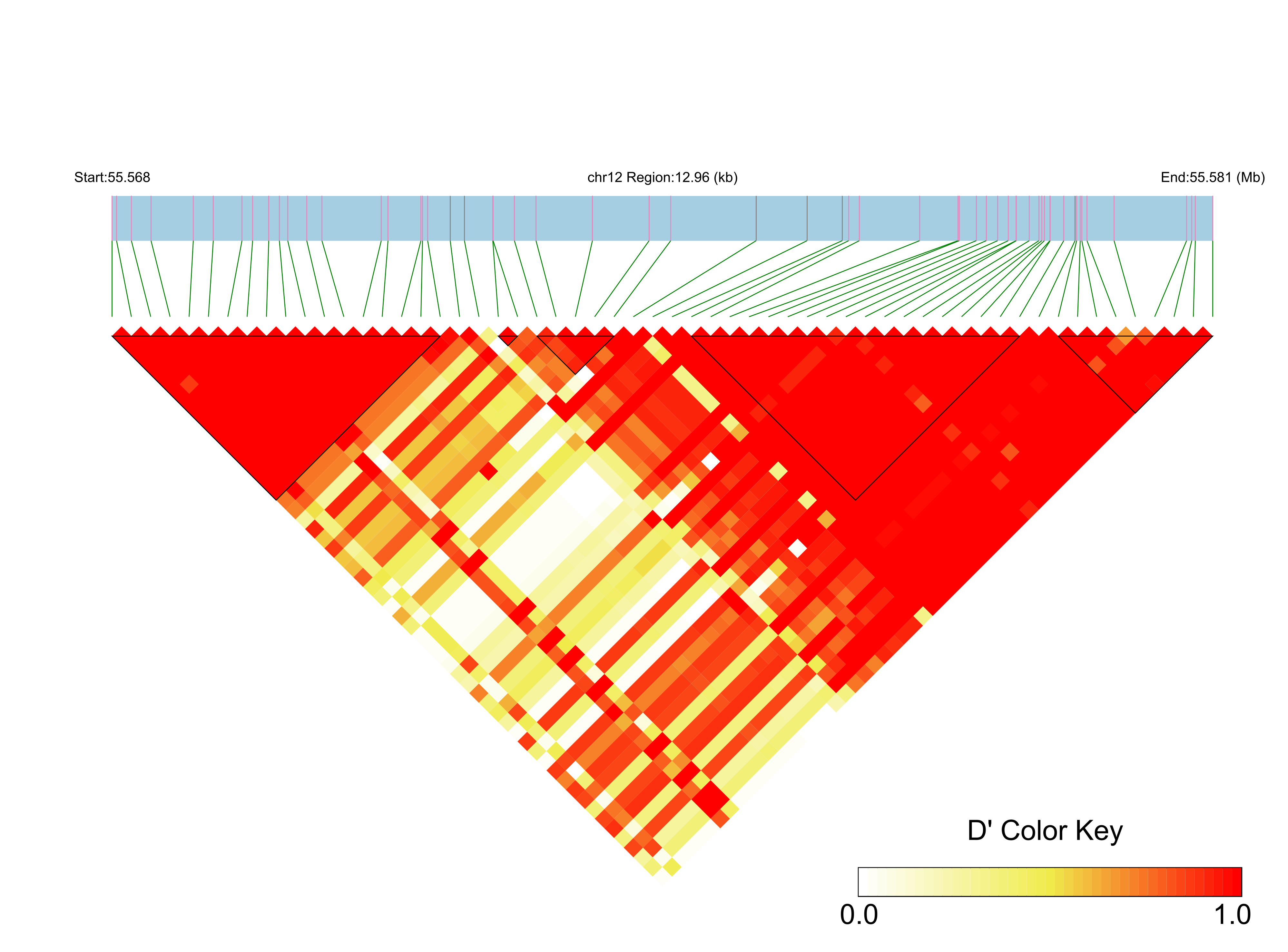 LD