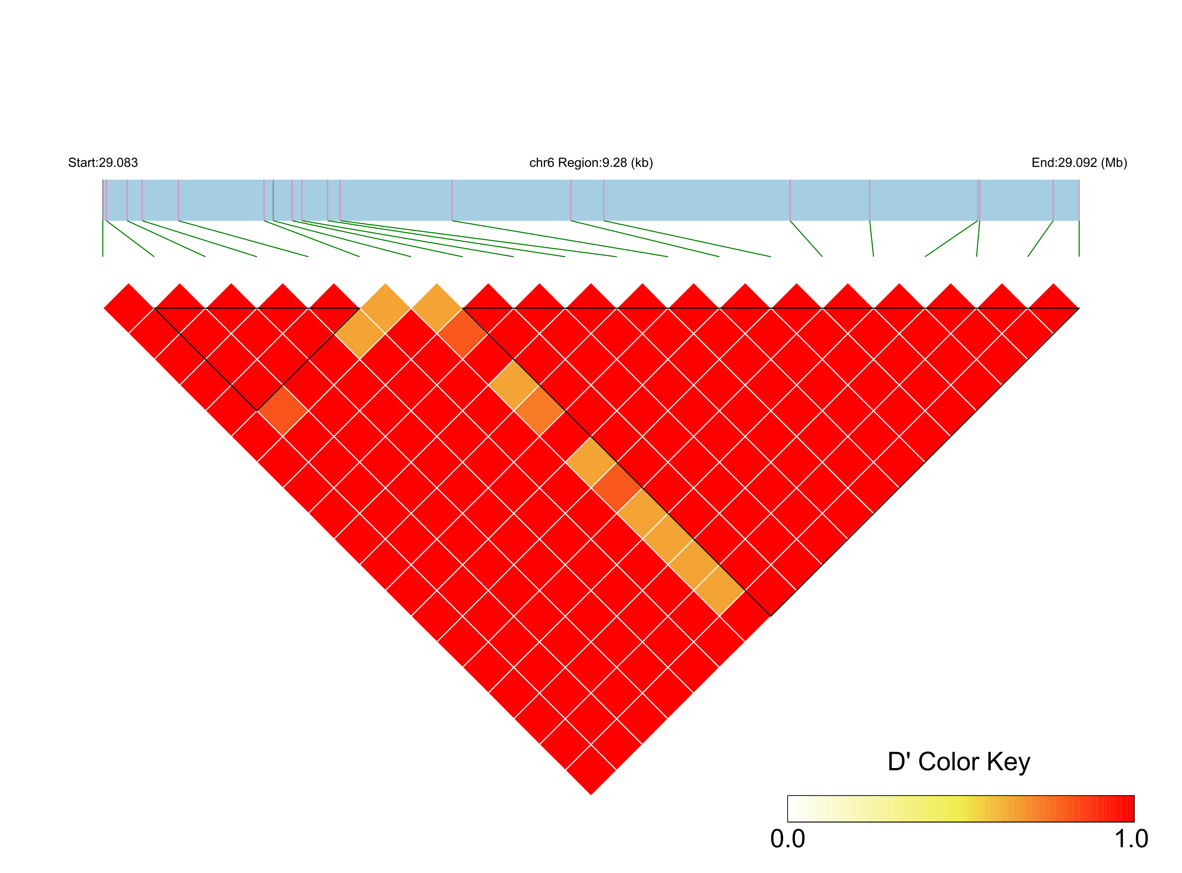 LD