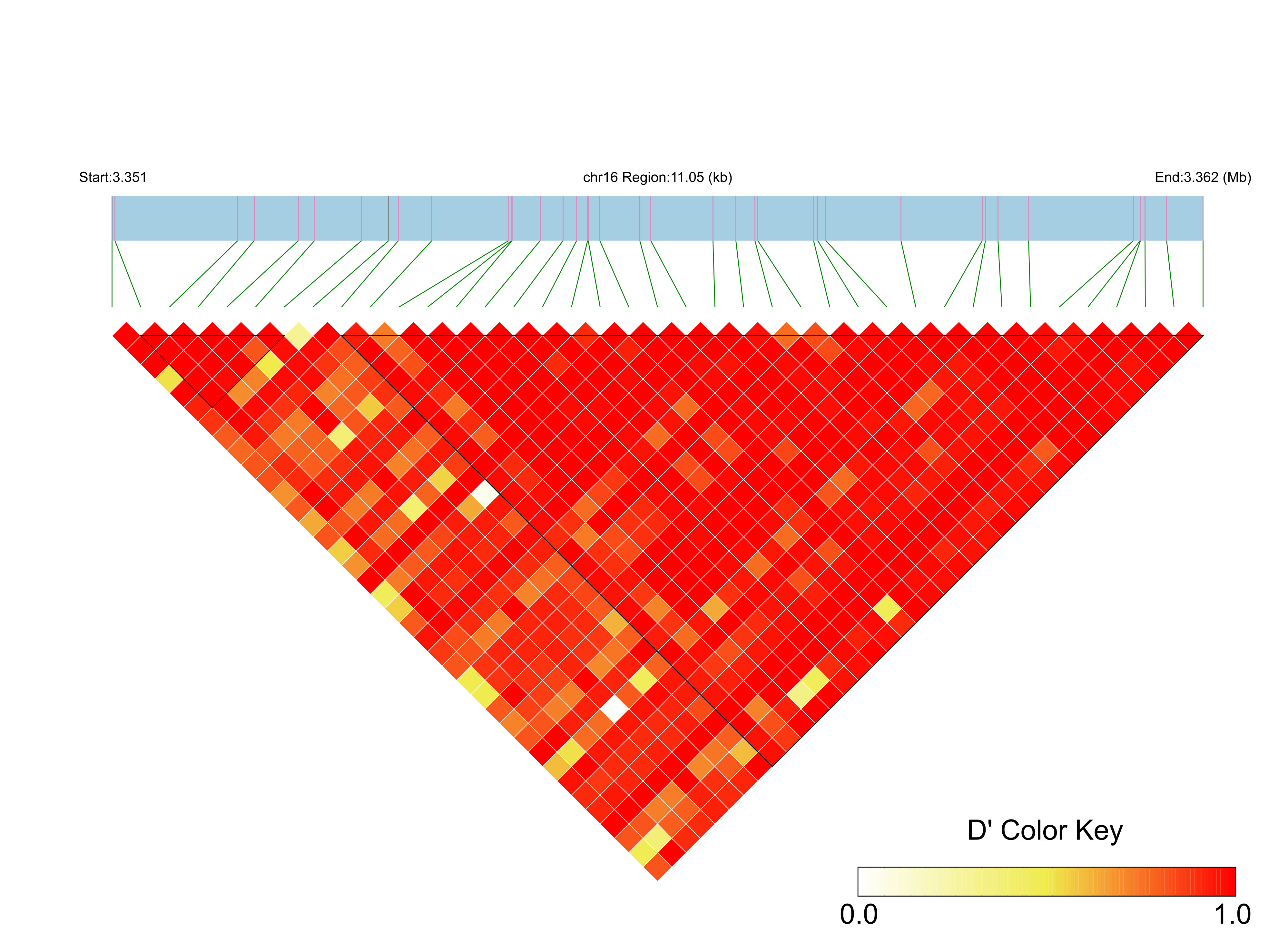 LD