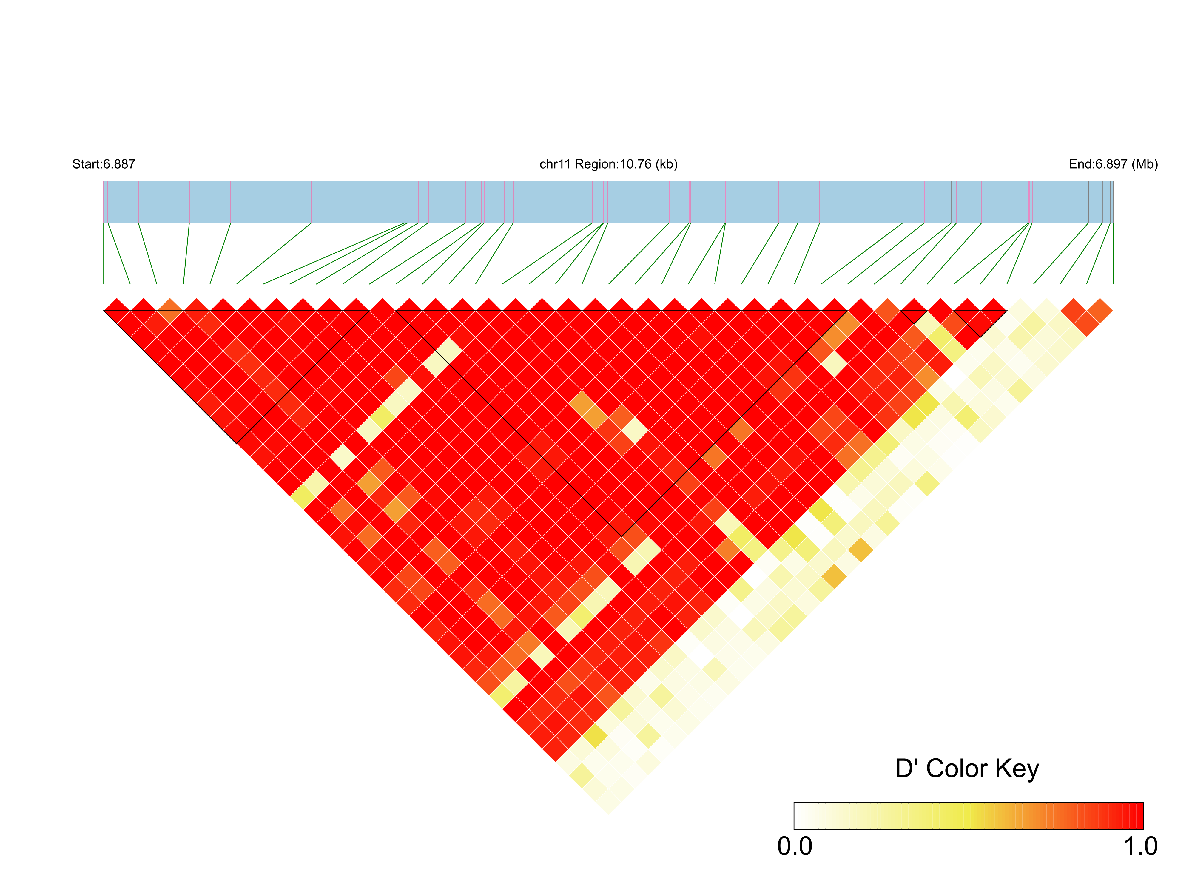 LD