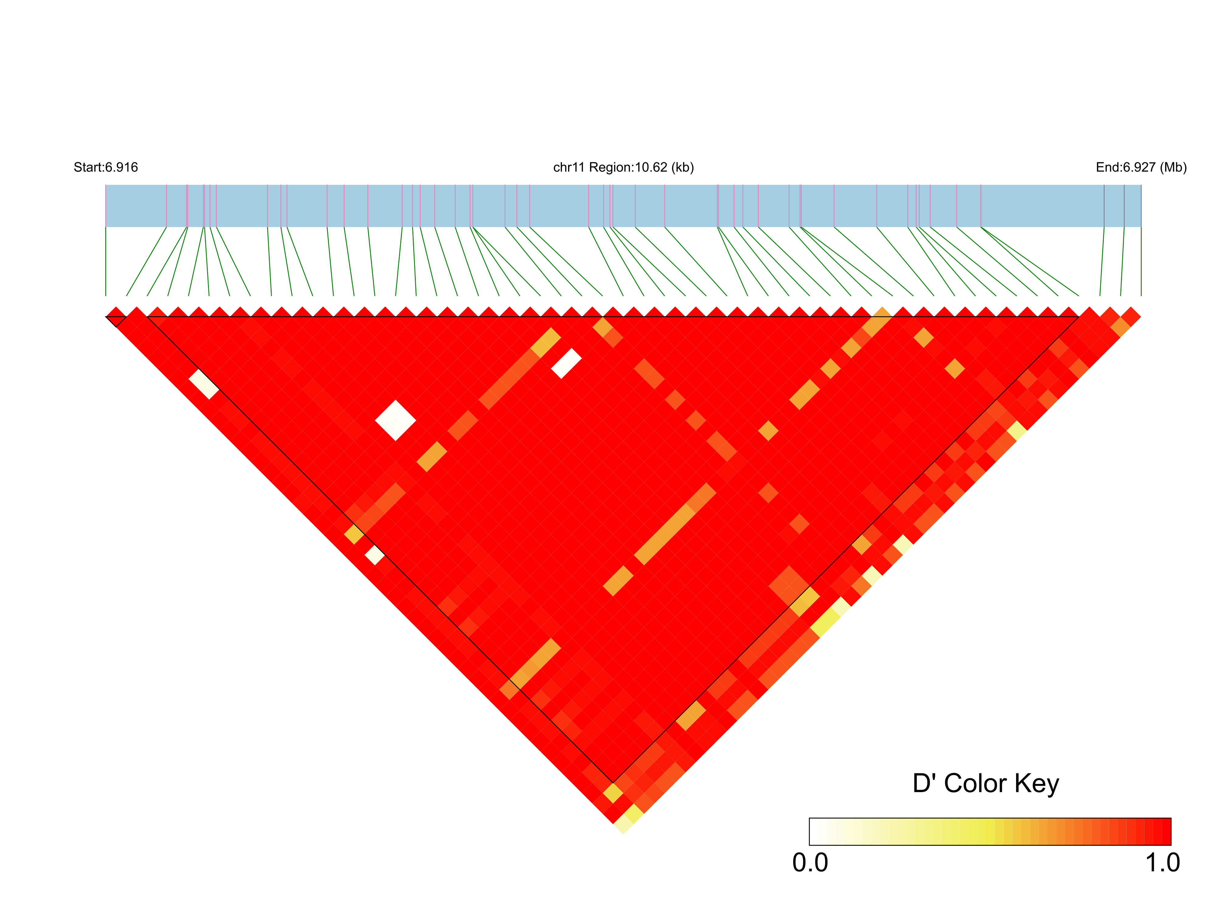 LD