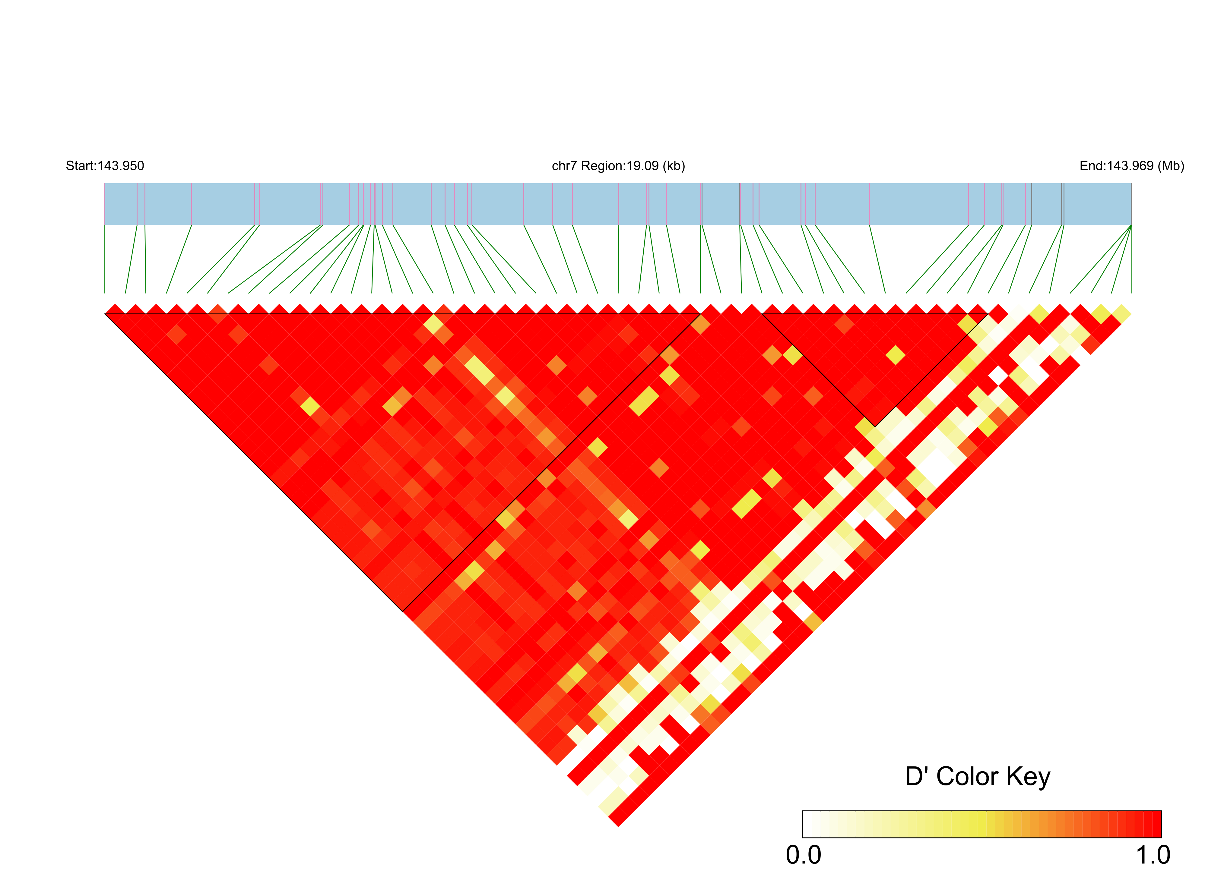 LD