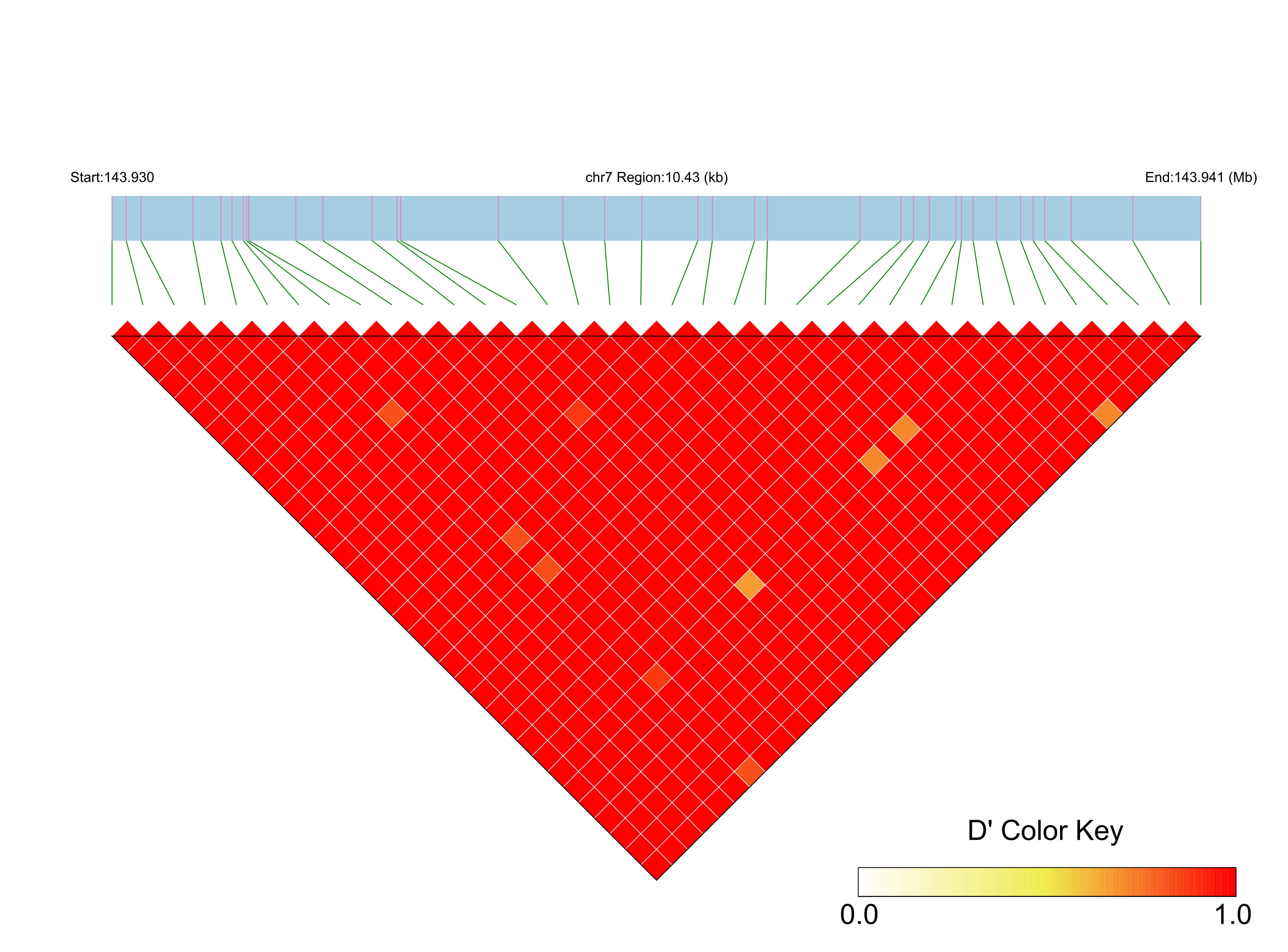LD