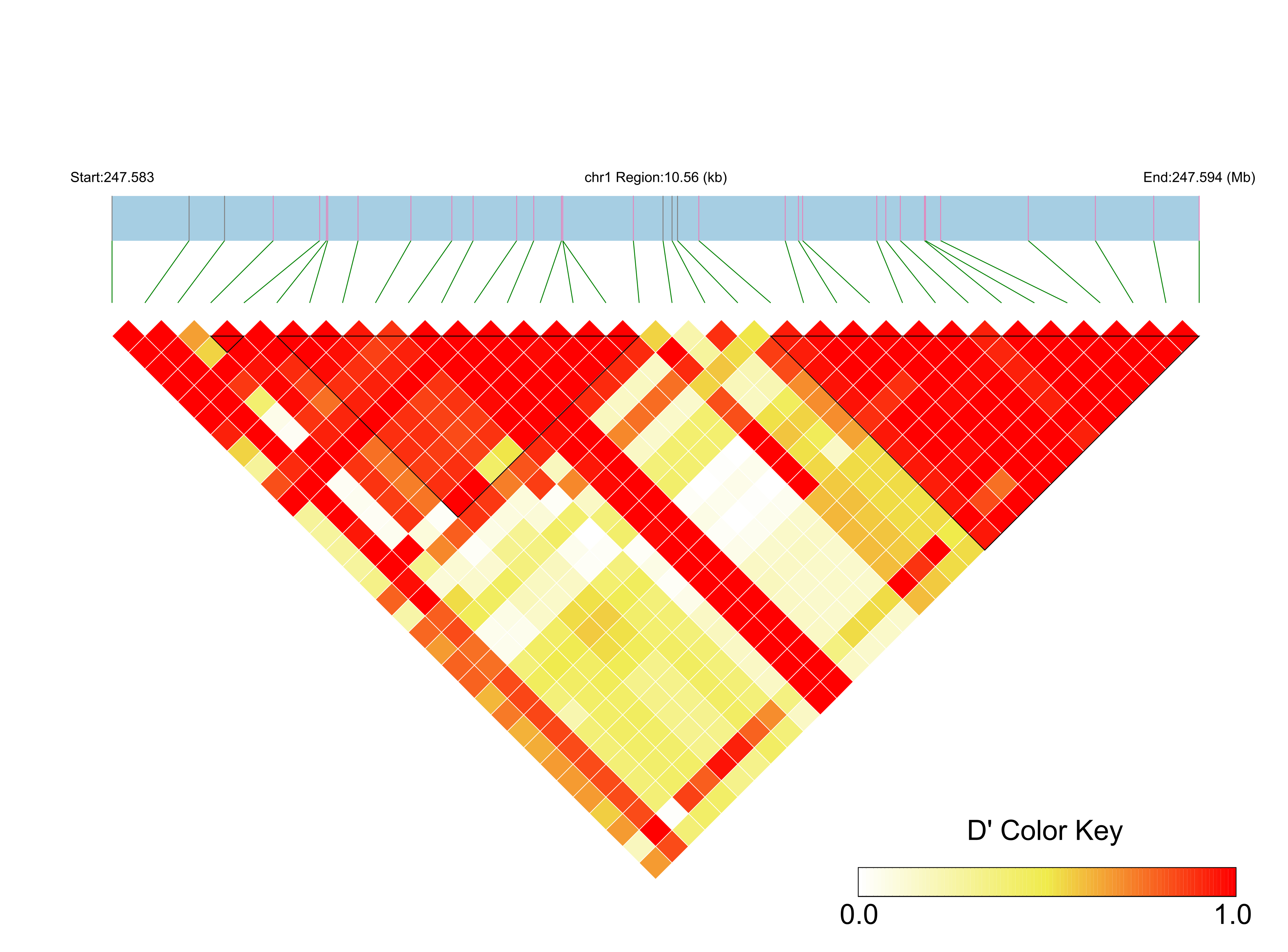 LD