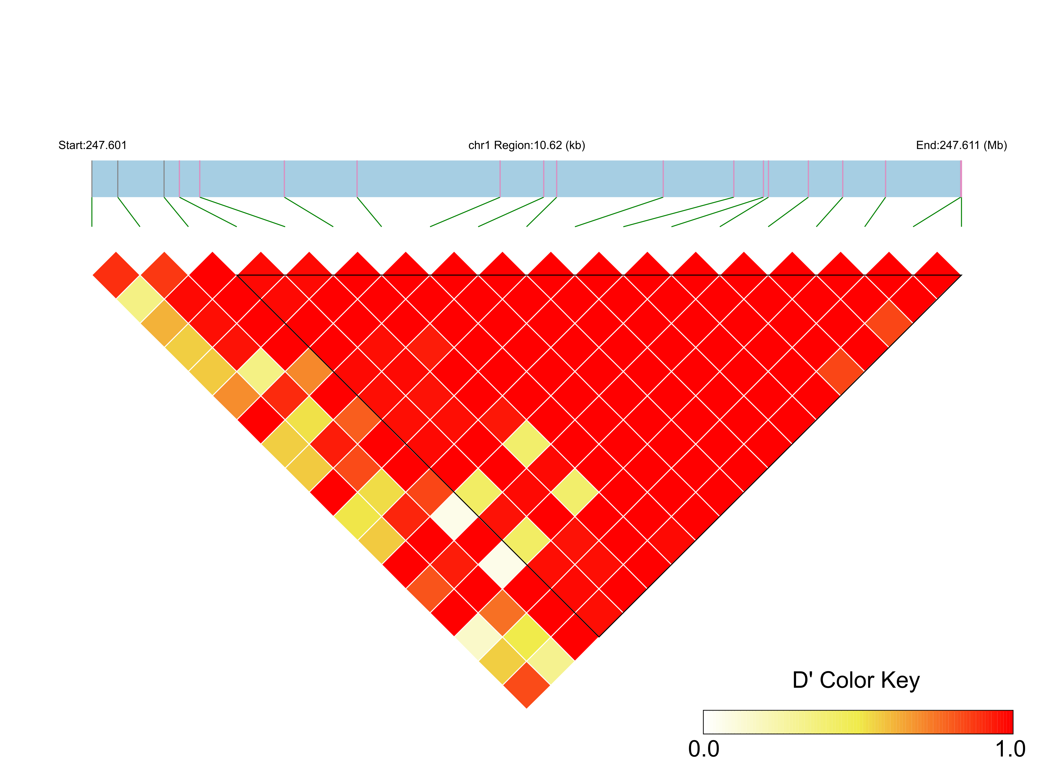LD
