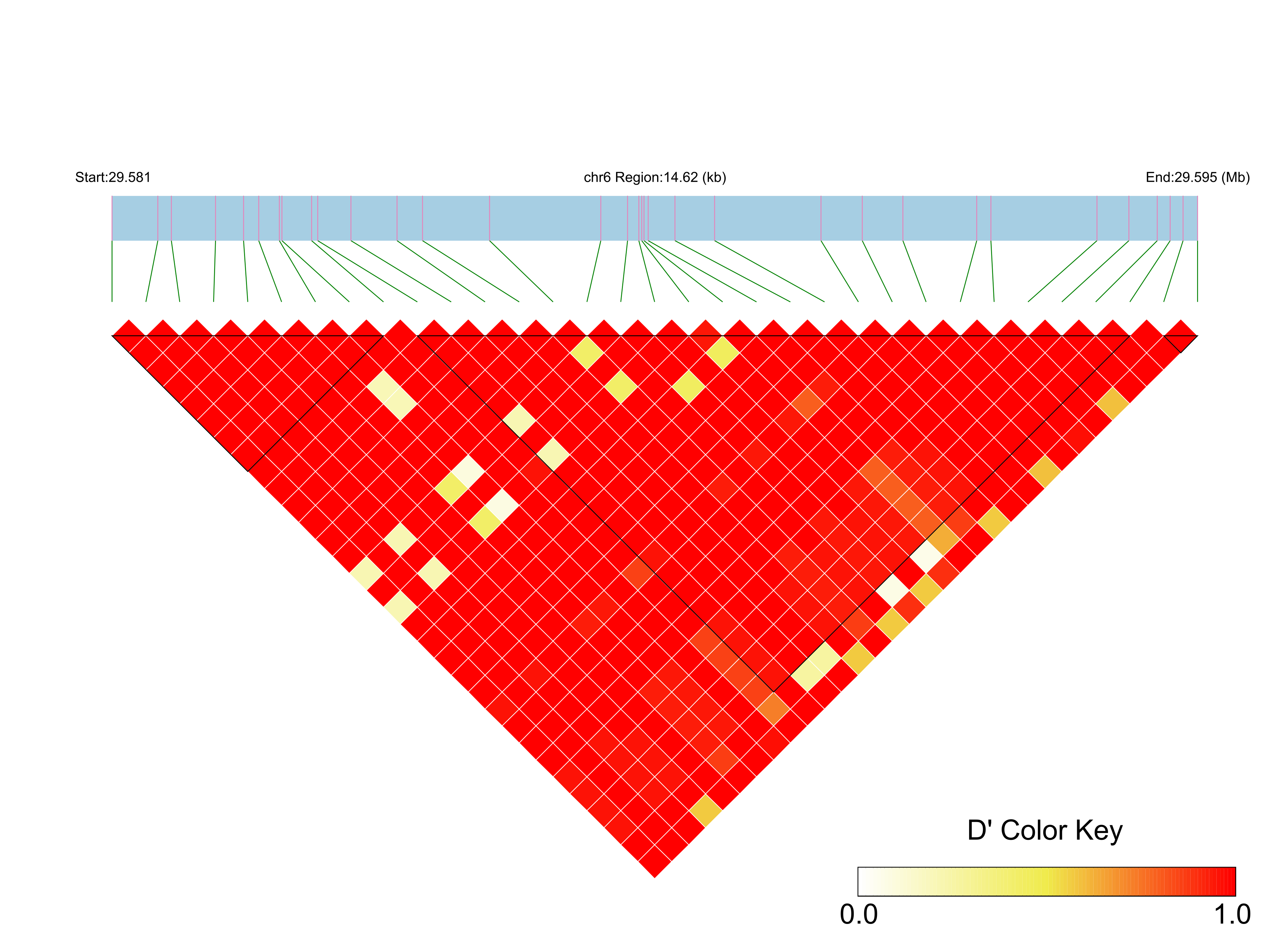 LD
