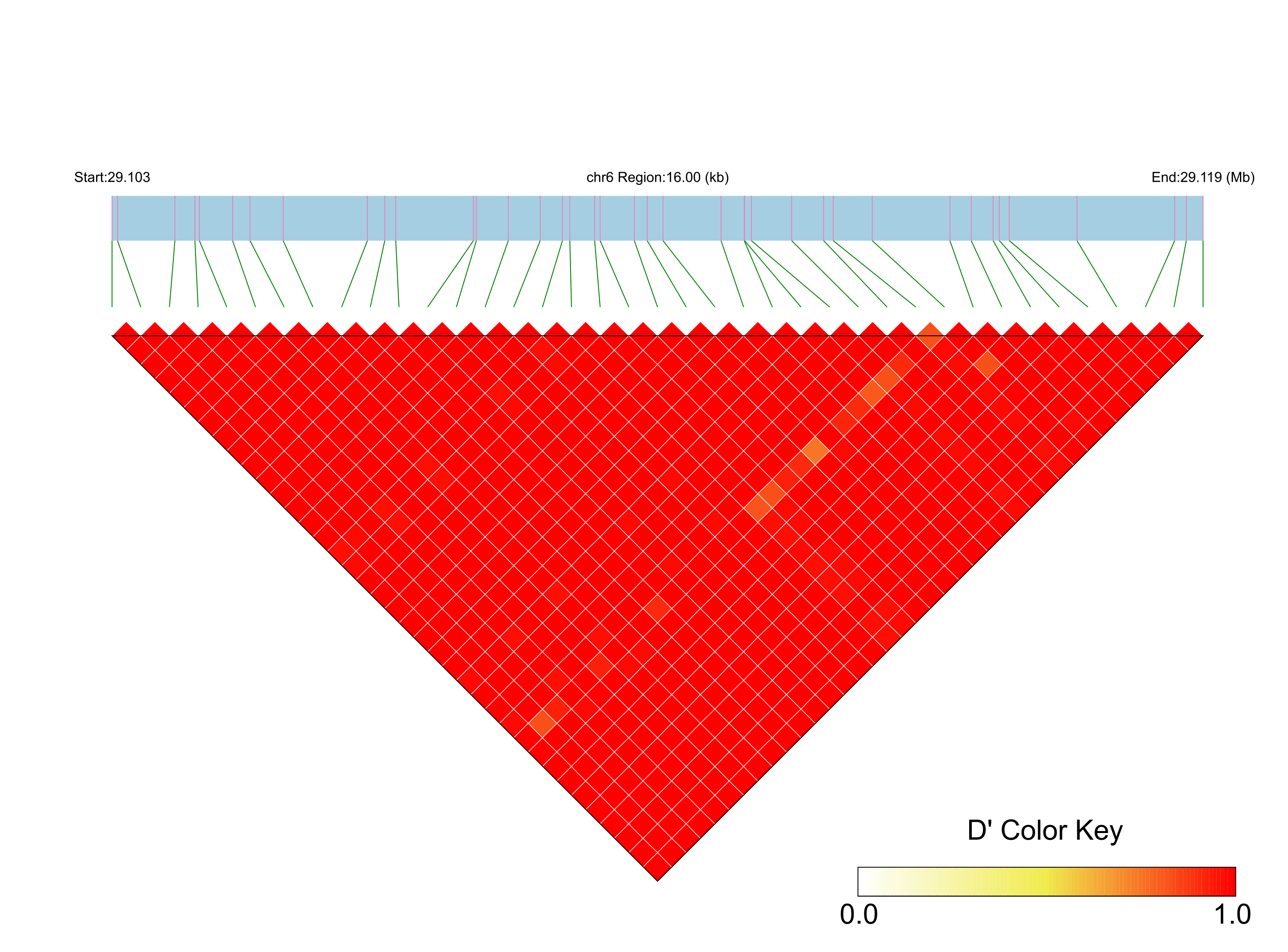 LD