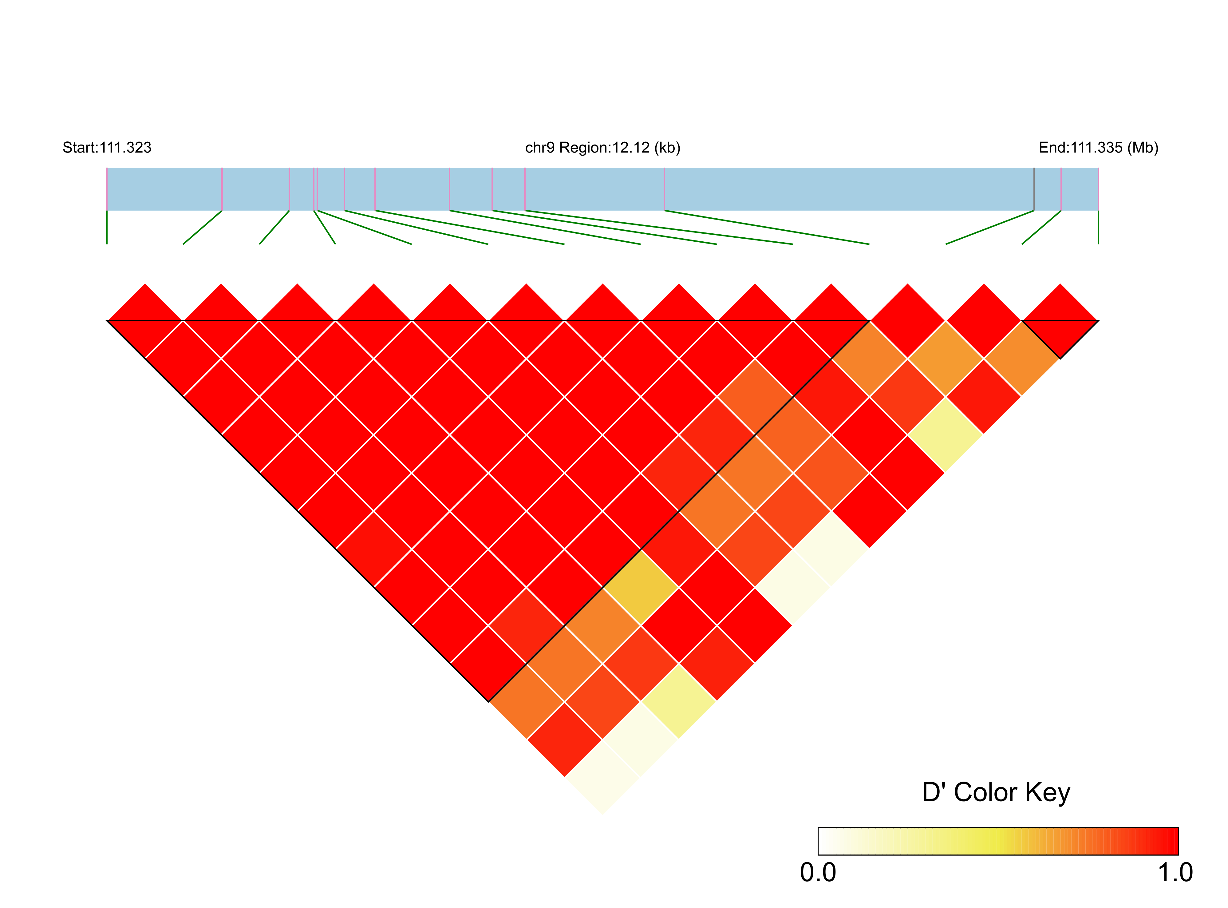 LD