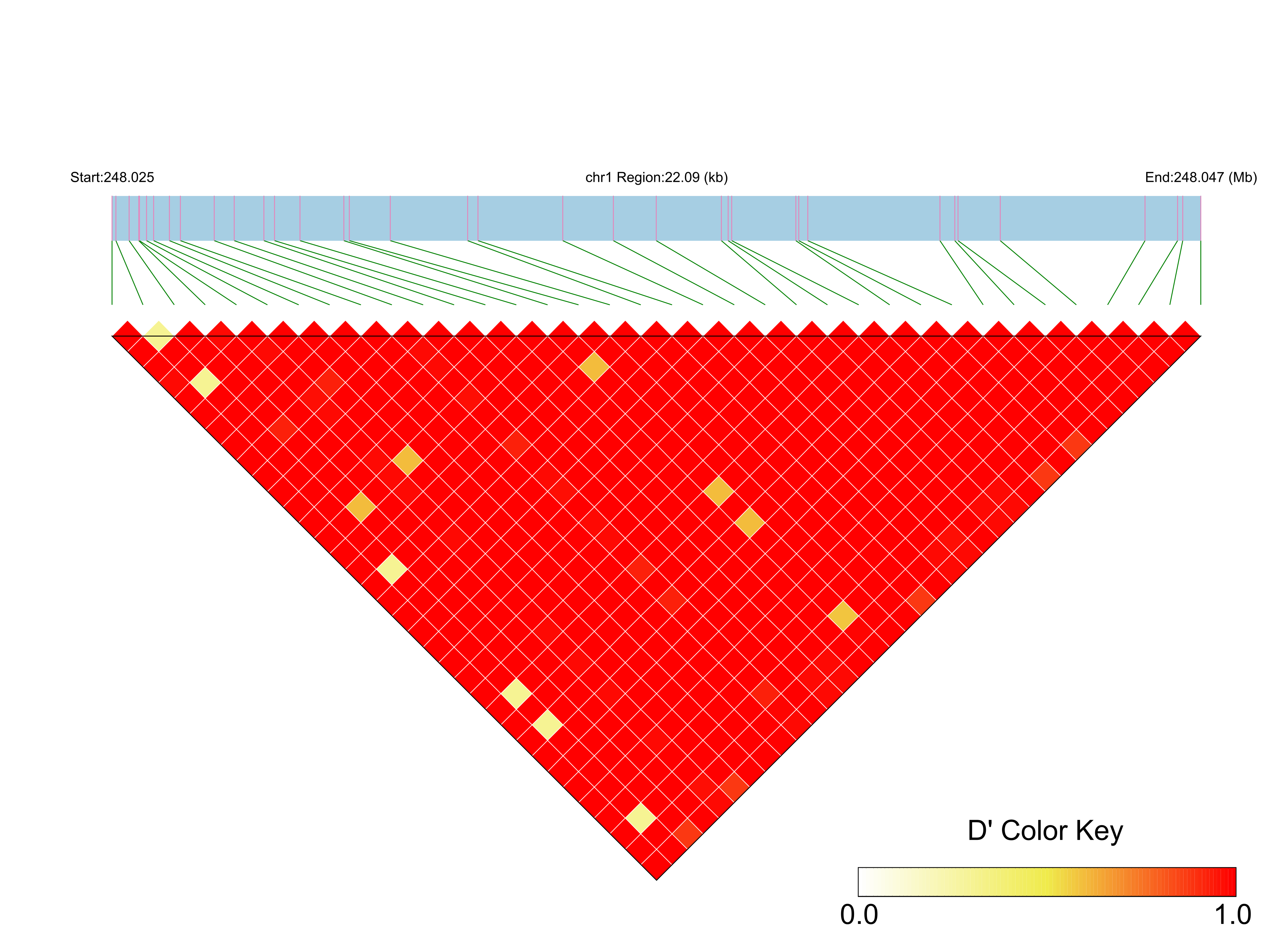 LD