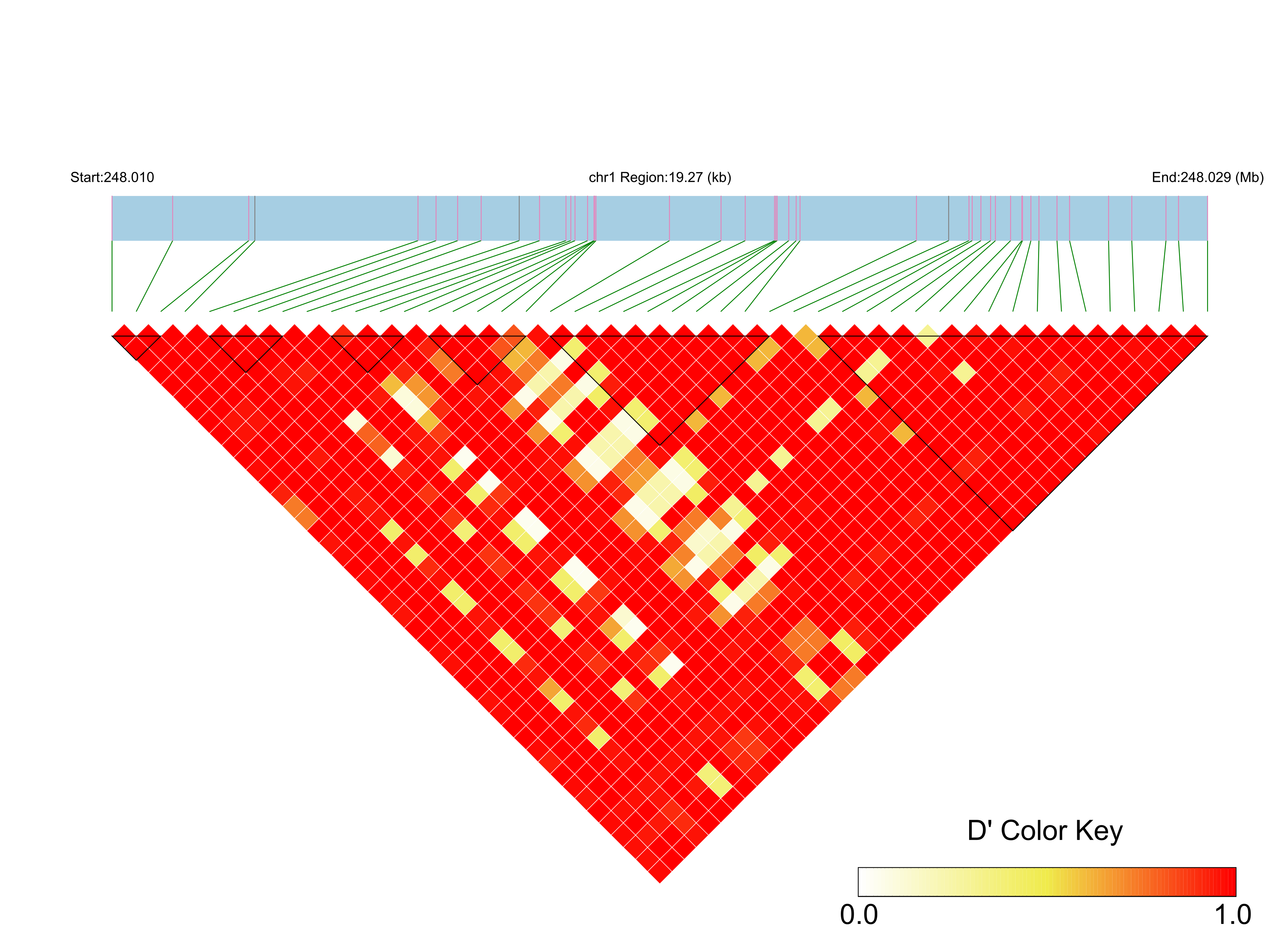 LD