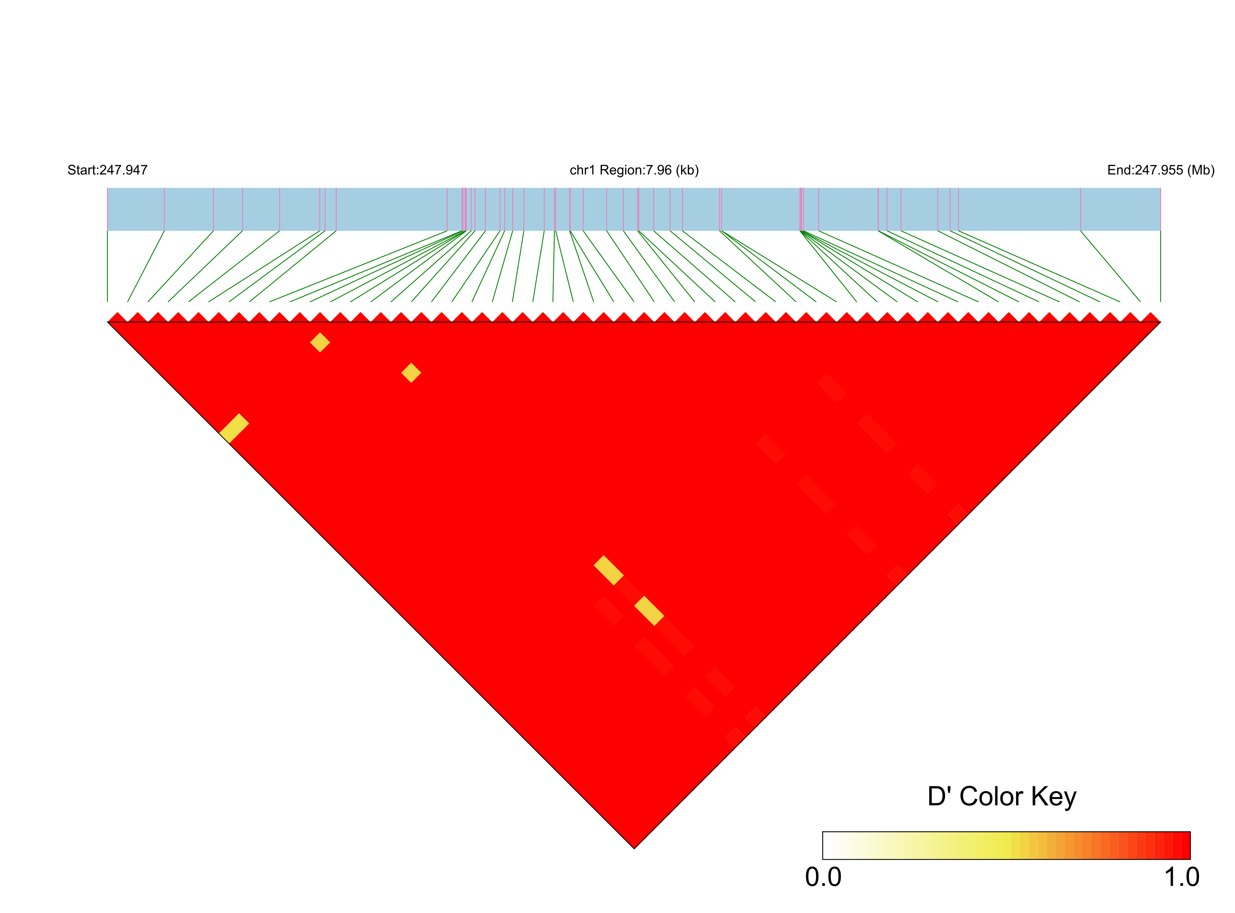 LD