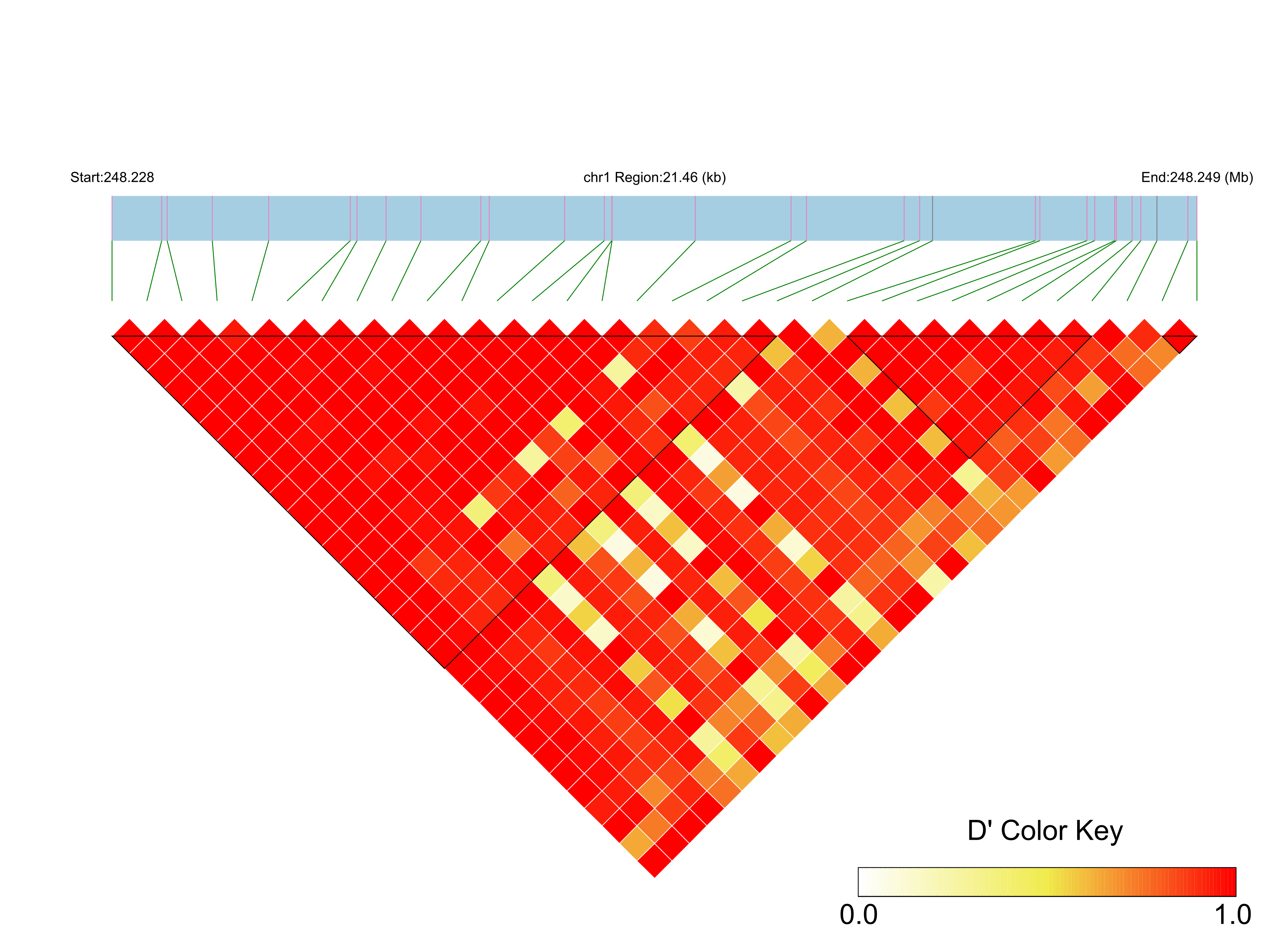 LD