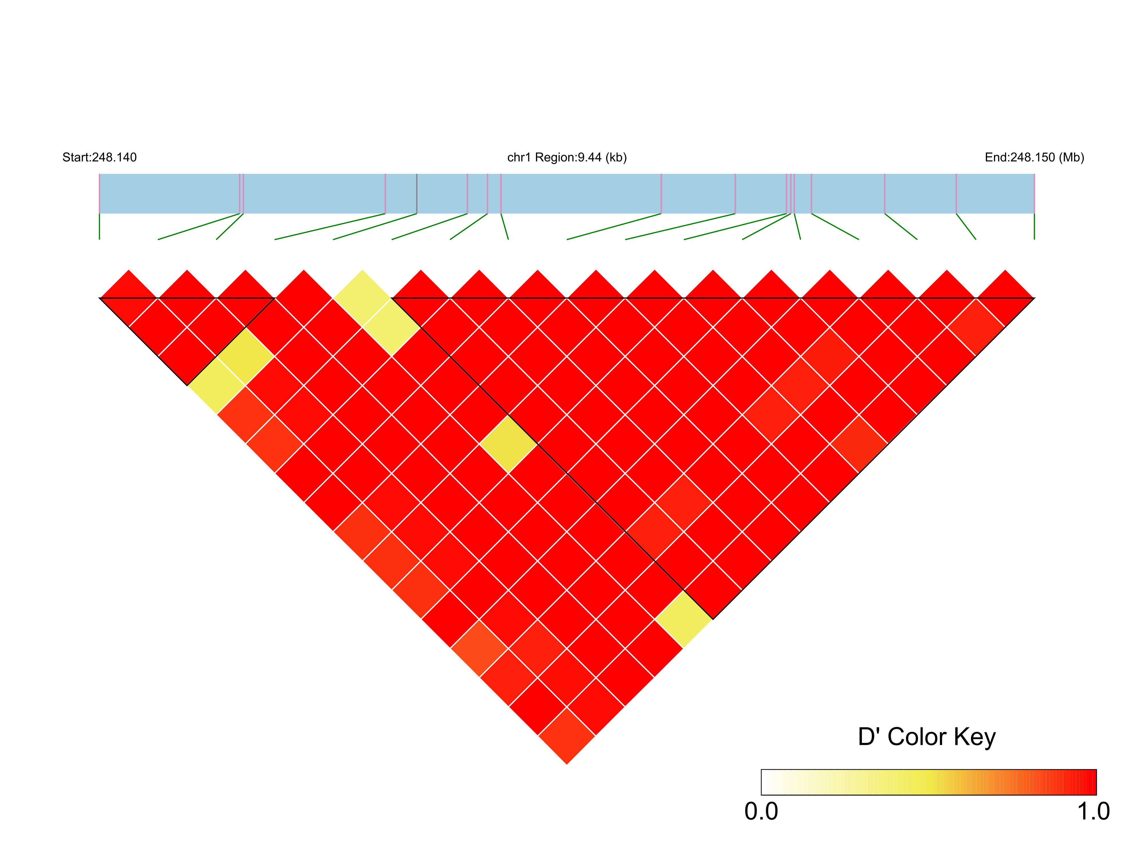 LD