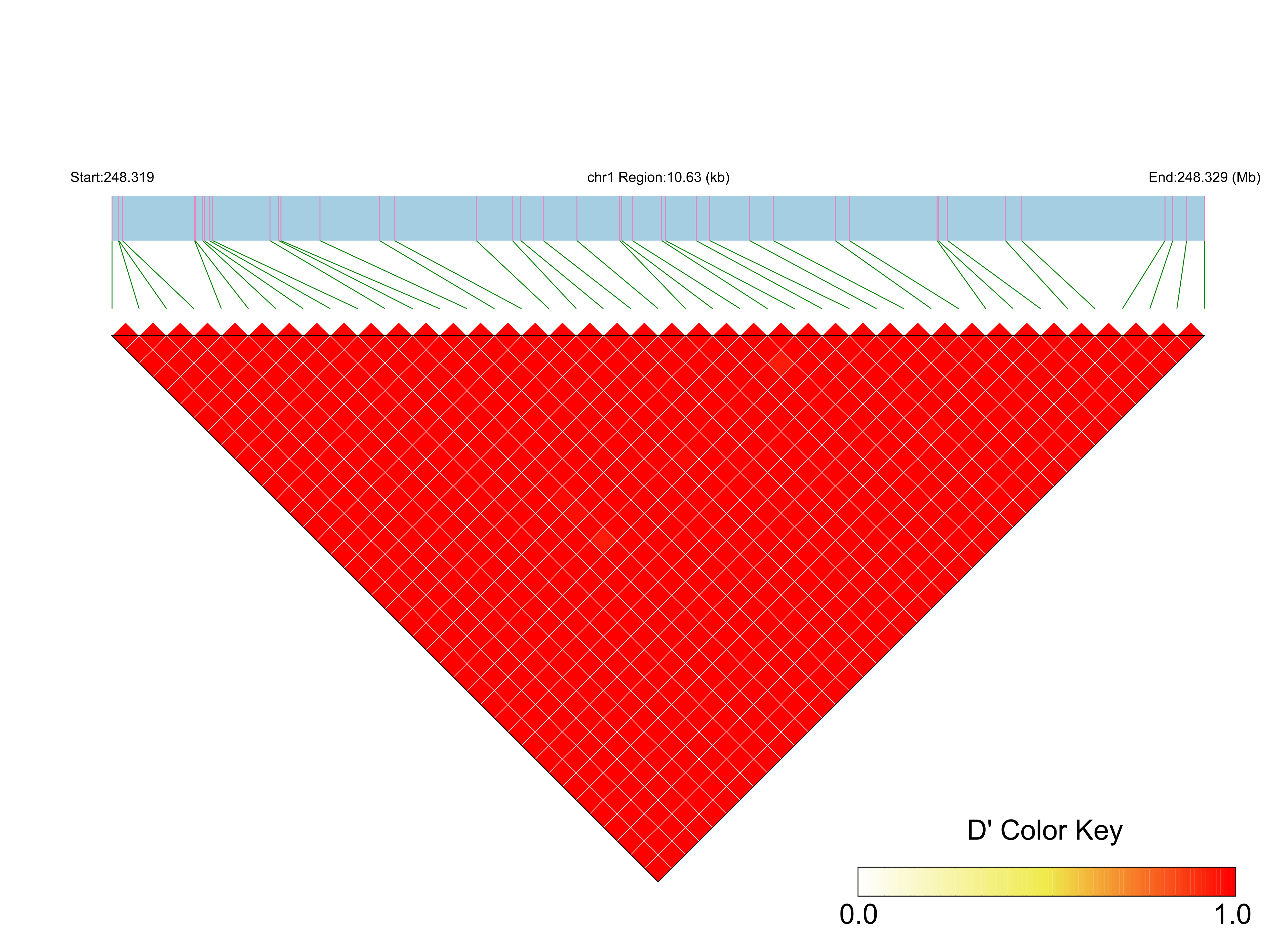 LD