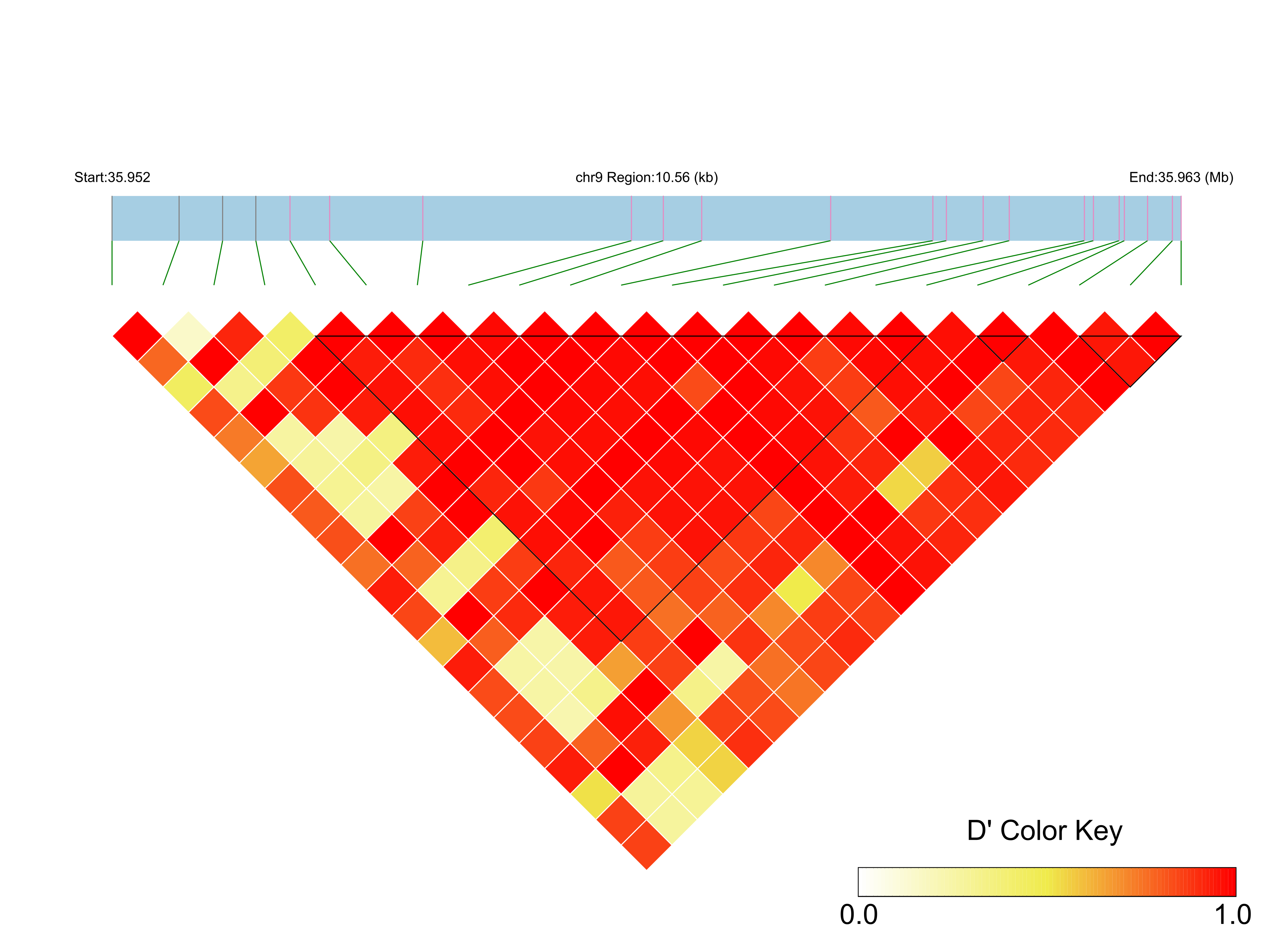 LD