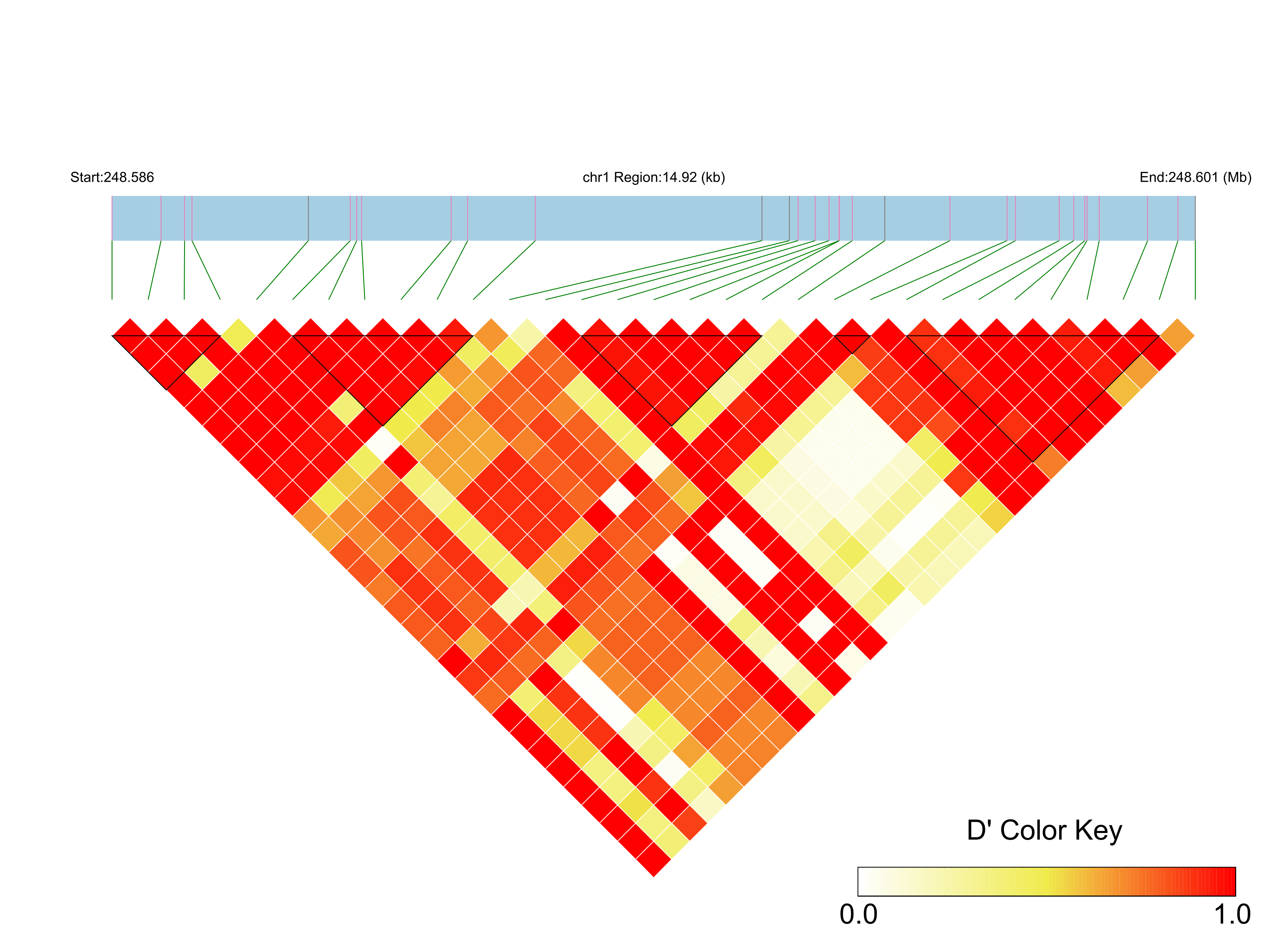 LD