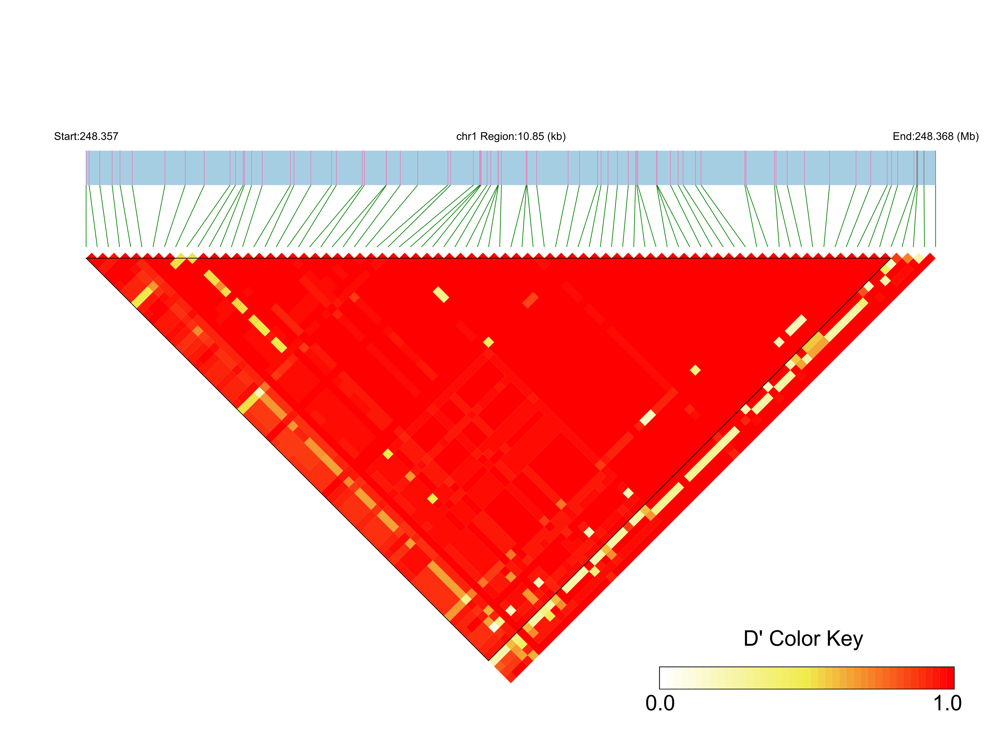 LD