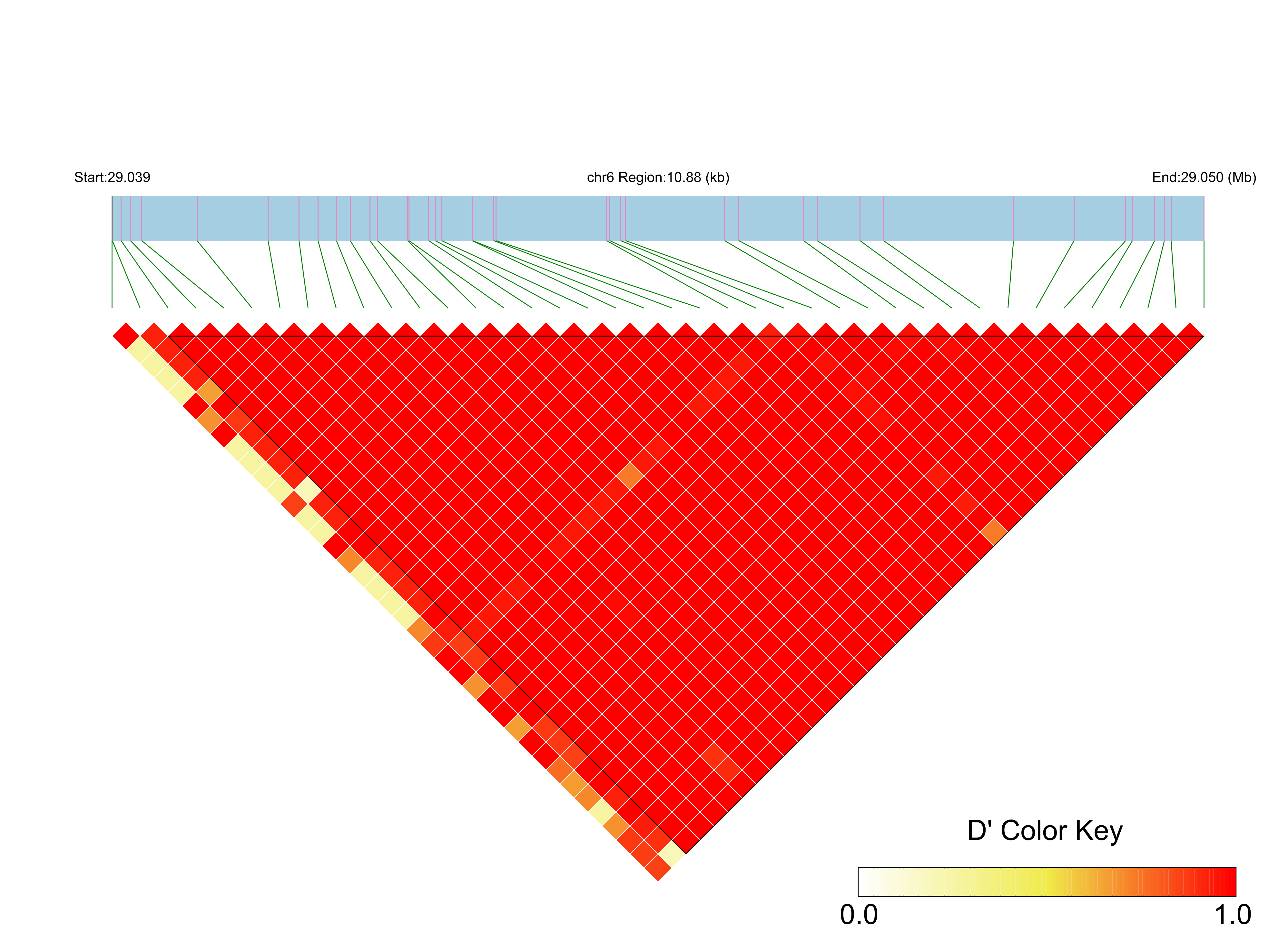 LD