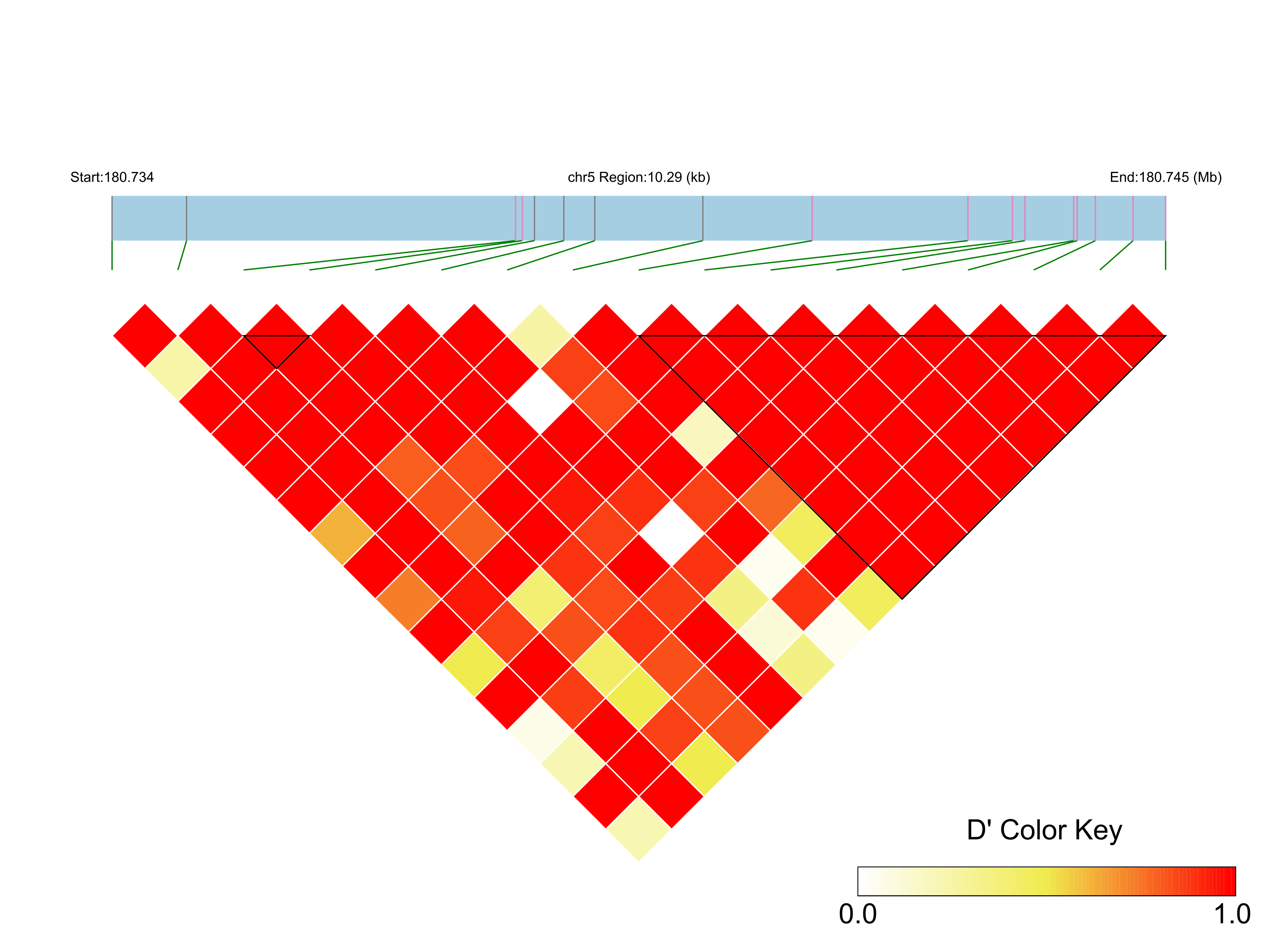 LD