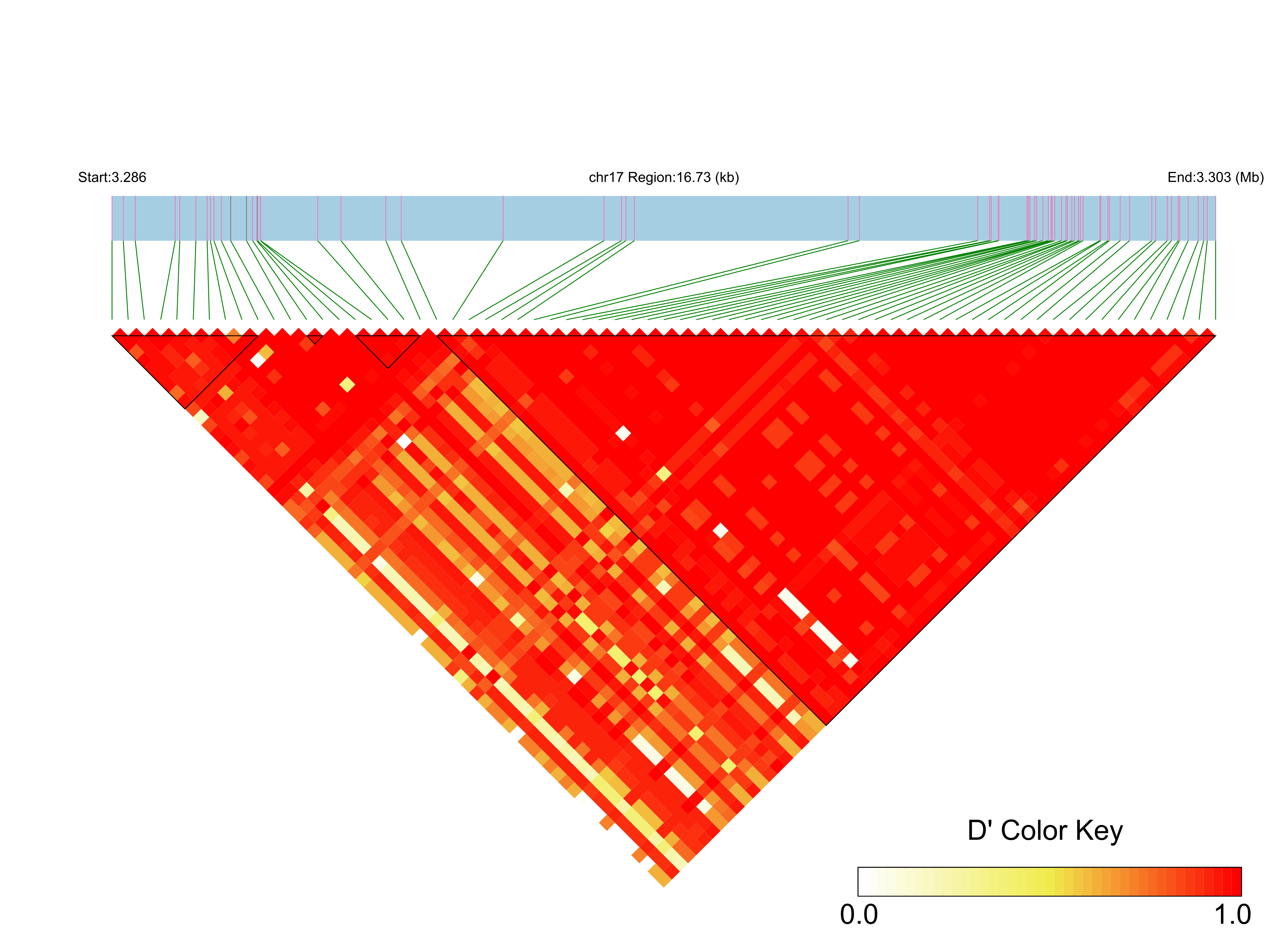 LD