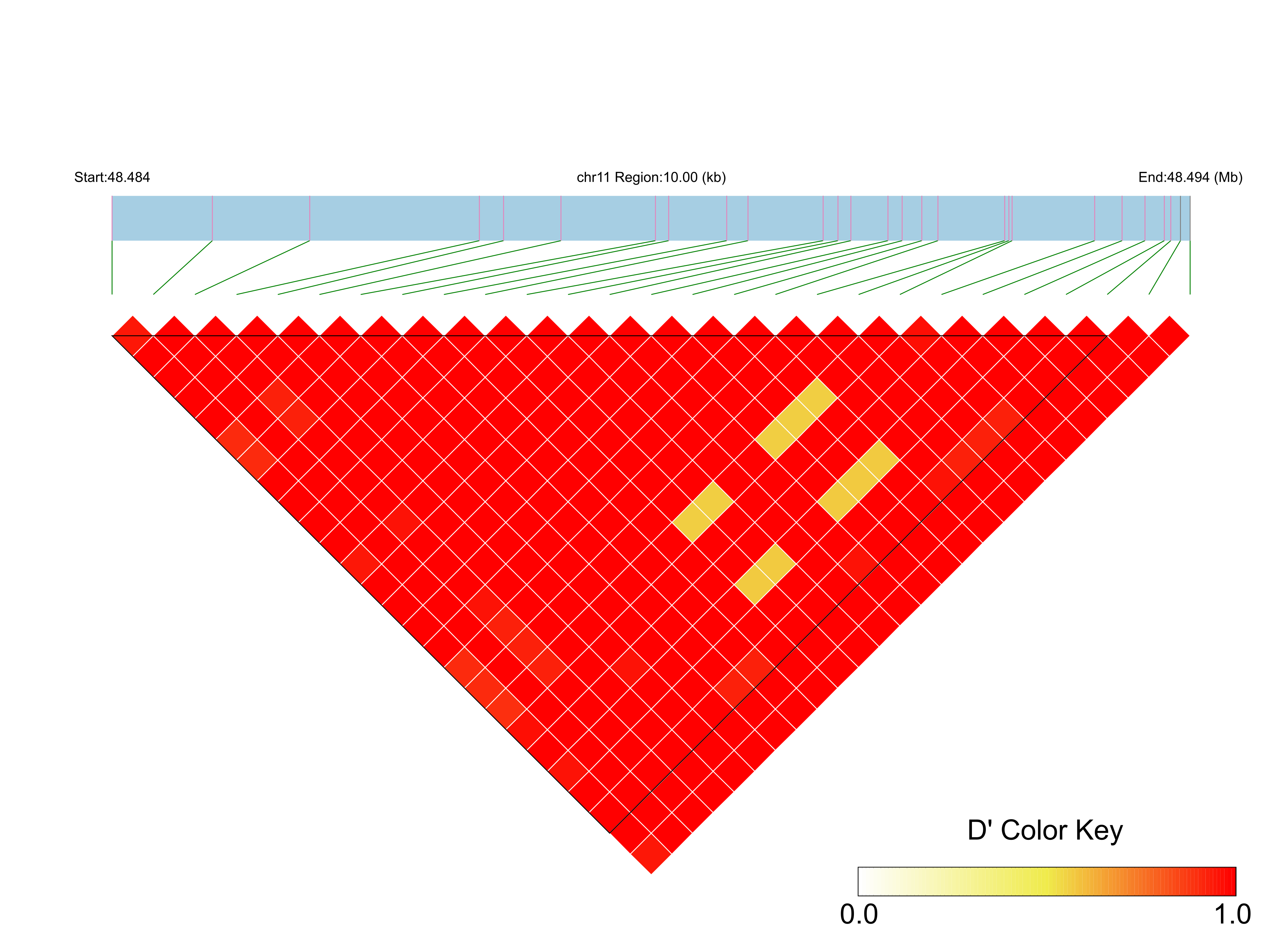 LD