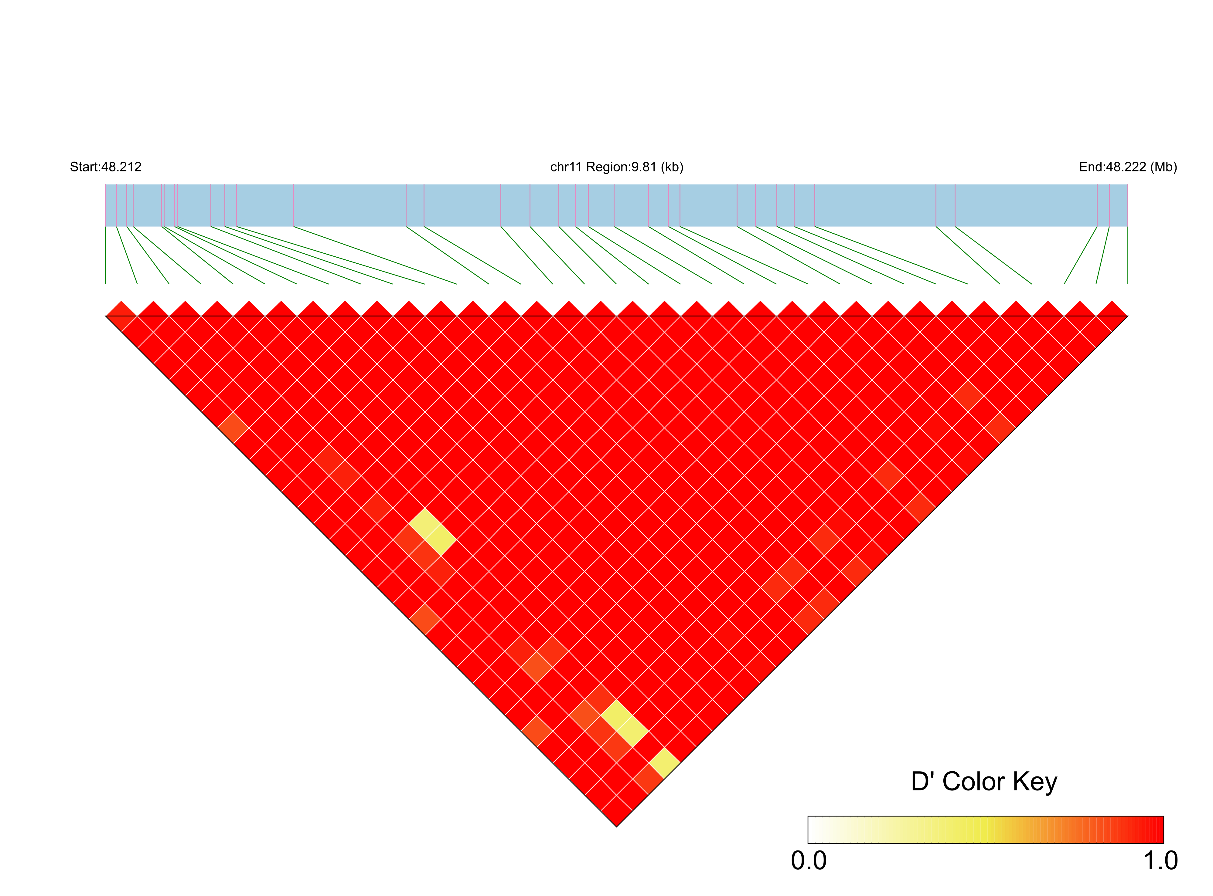 LD