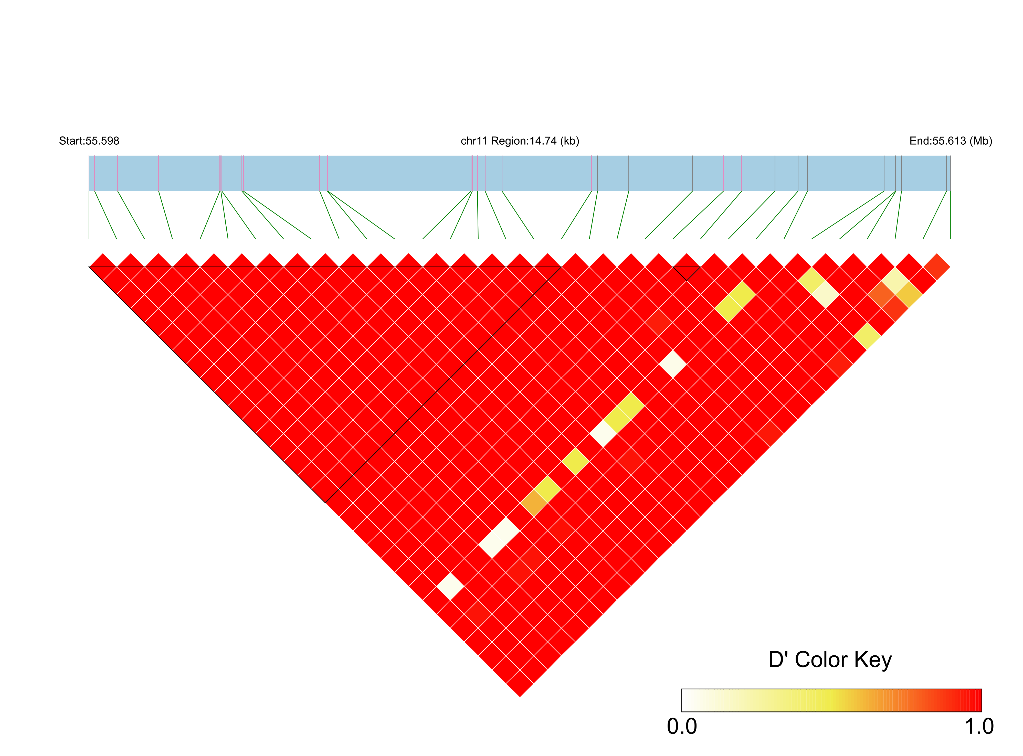 LD